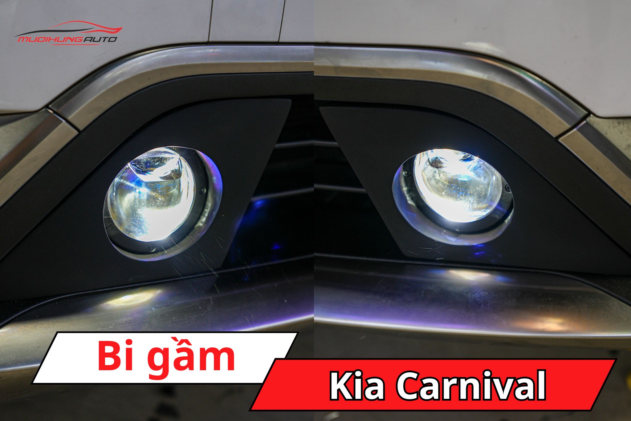 Bi gầm ô tô Kia Carnival