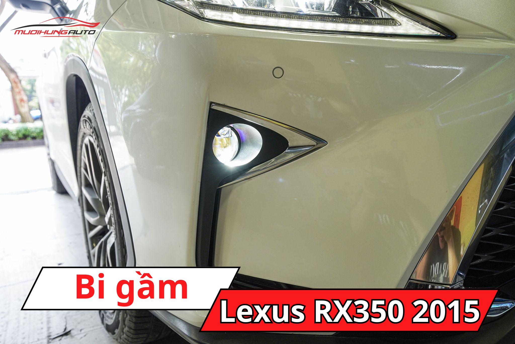 Bi gầm ô tô Lexus RX350 2015
