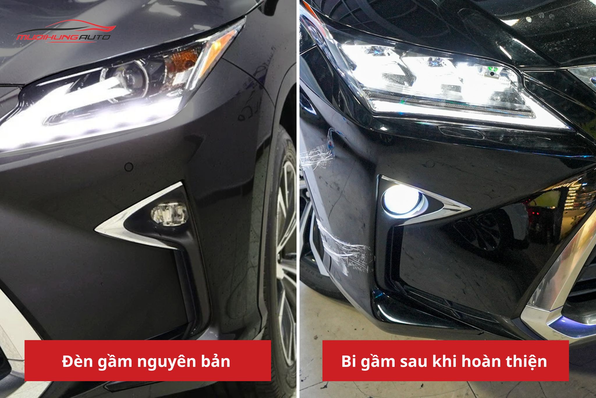 Bi gầm ô tô Lexus RX350 2019