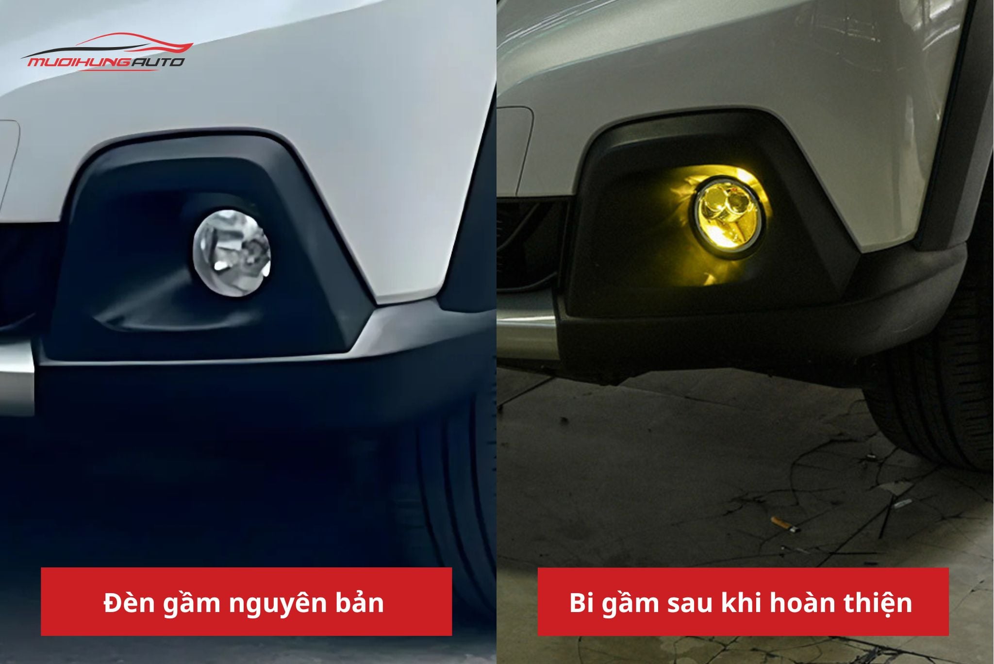 Bi gầm ô tô Suzuki XL7