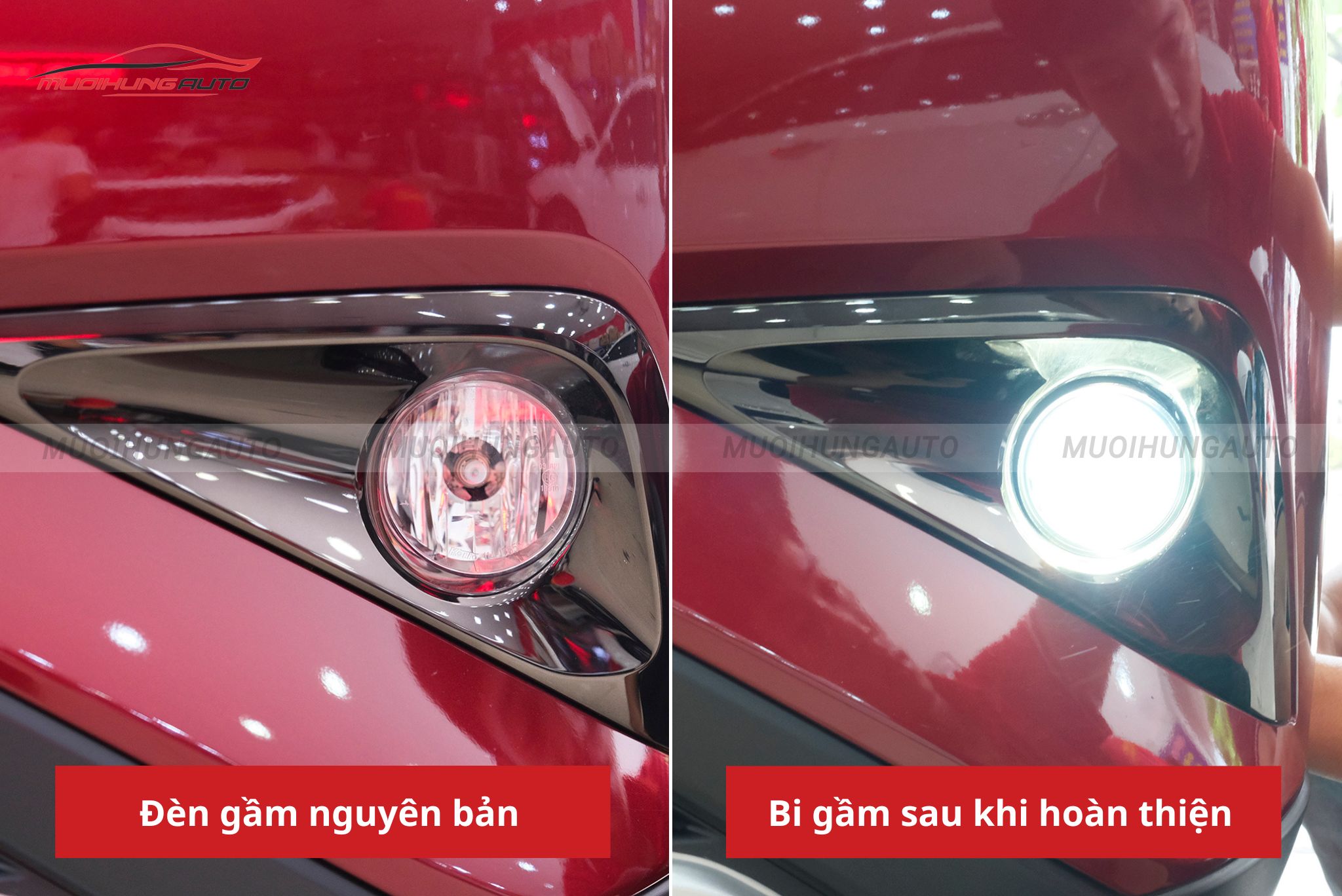 Bi gầm ô tô Toyota Rush