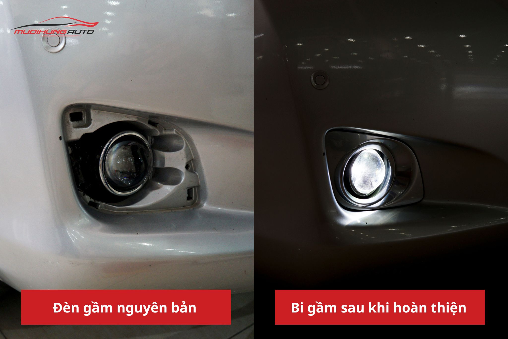 Bi gầm ô tô Toyota Venza