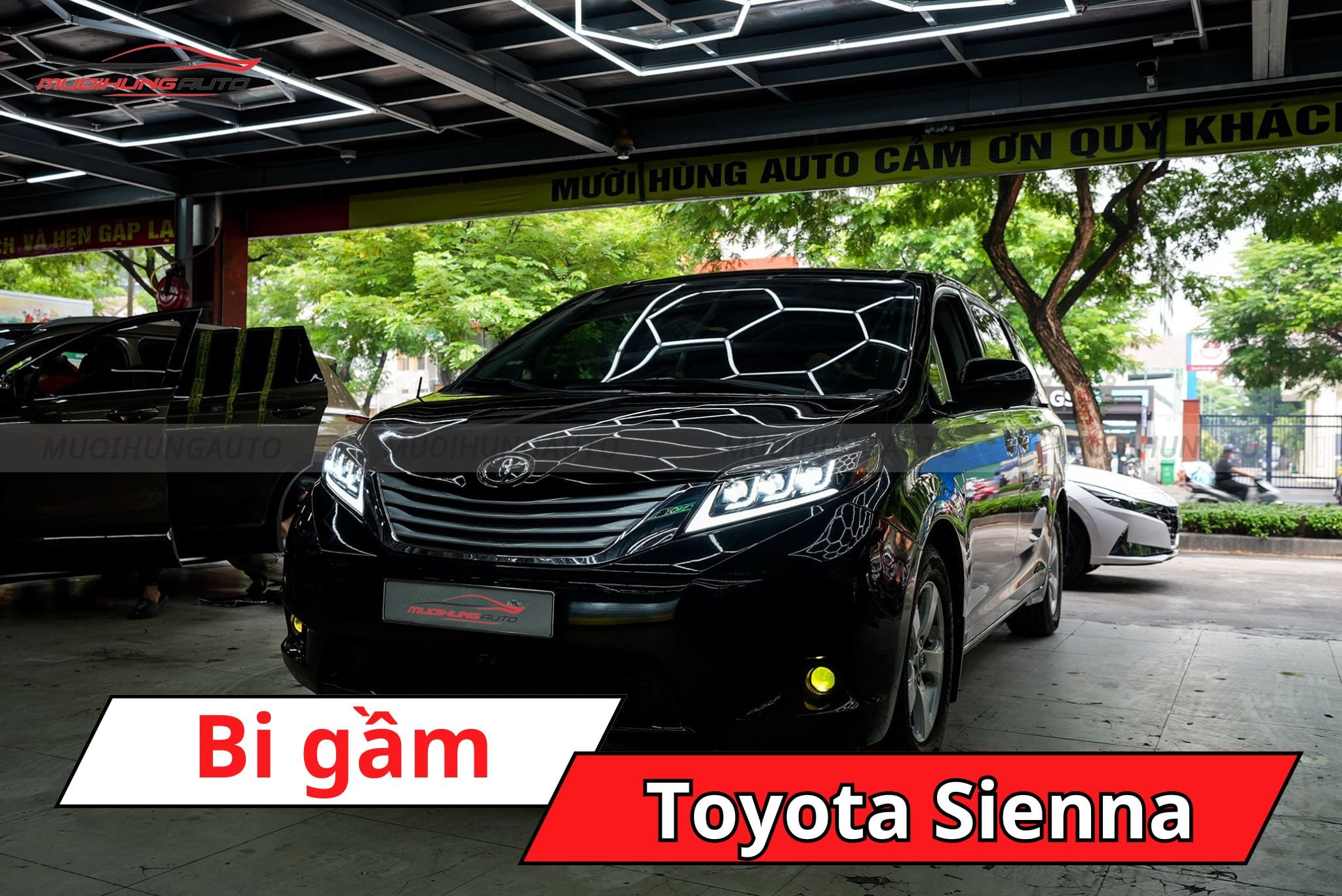 Bi gầm Toyota Sienna