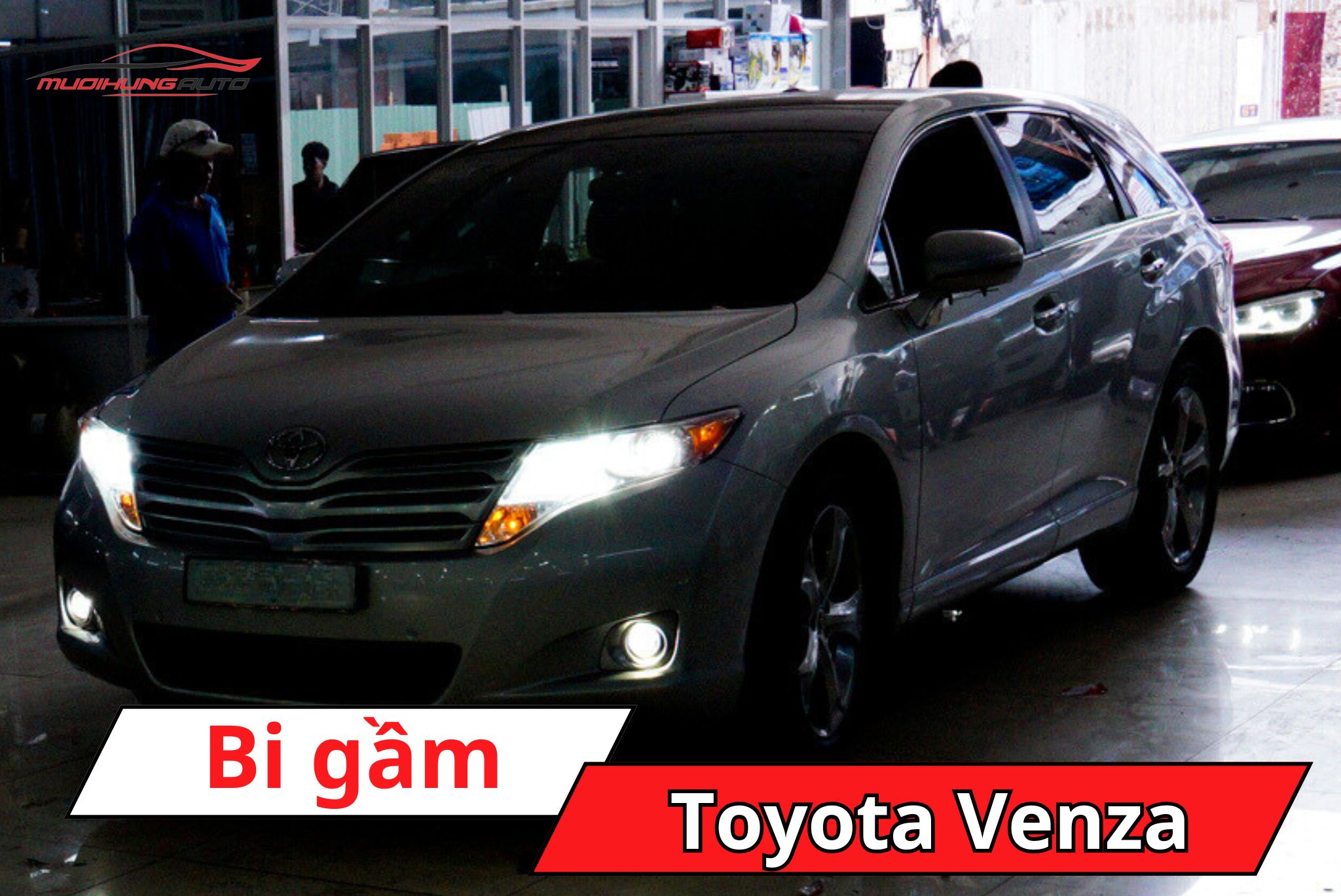 Bi gầm Toyota Venza