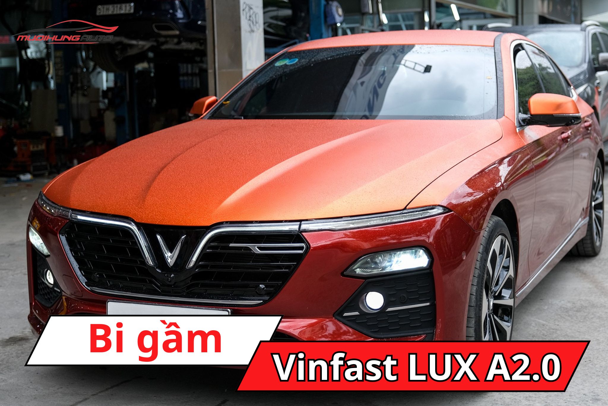 Bi gầm Vinfast LUX A2.0