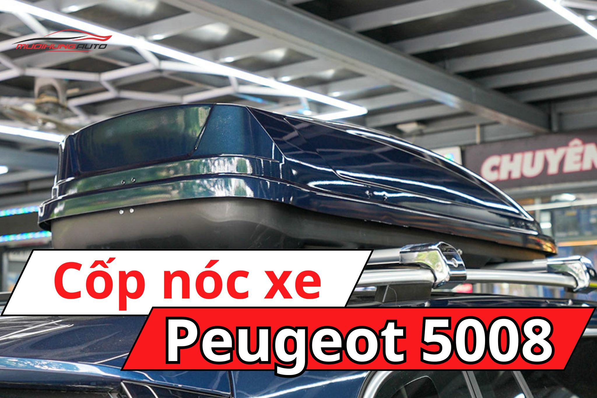 Cốp để đồ nóc xe Peugeot 5008