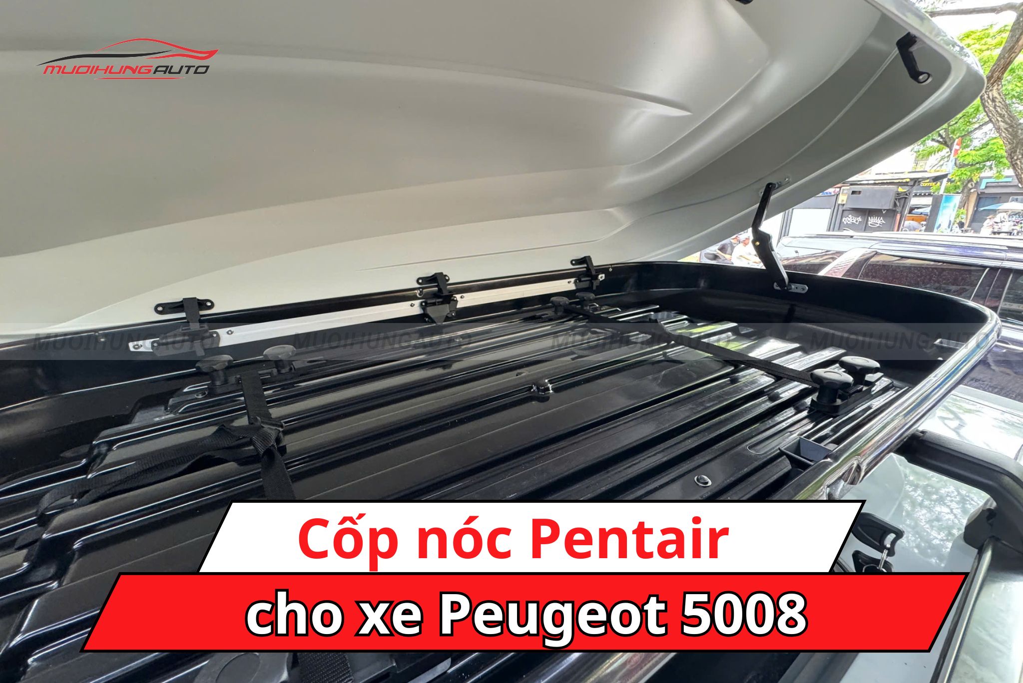 Cốp nóc Pentair cho Peugeot 5008