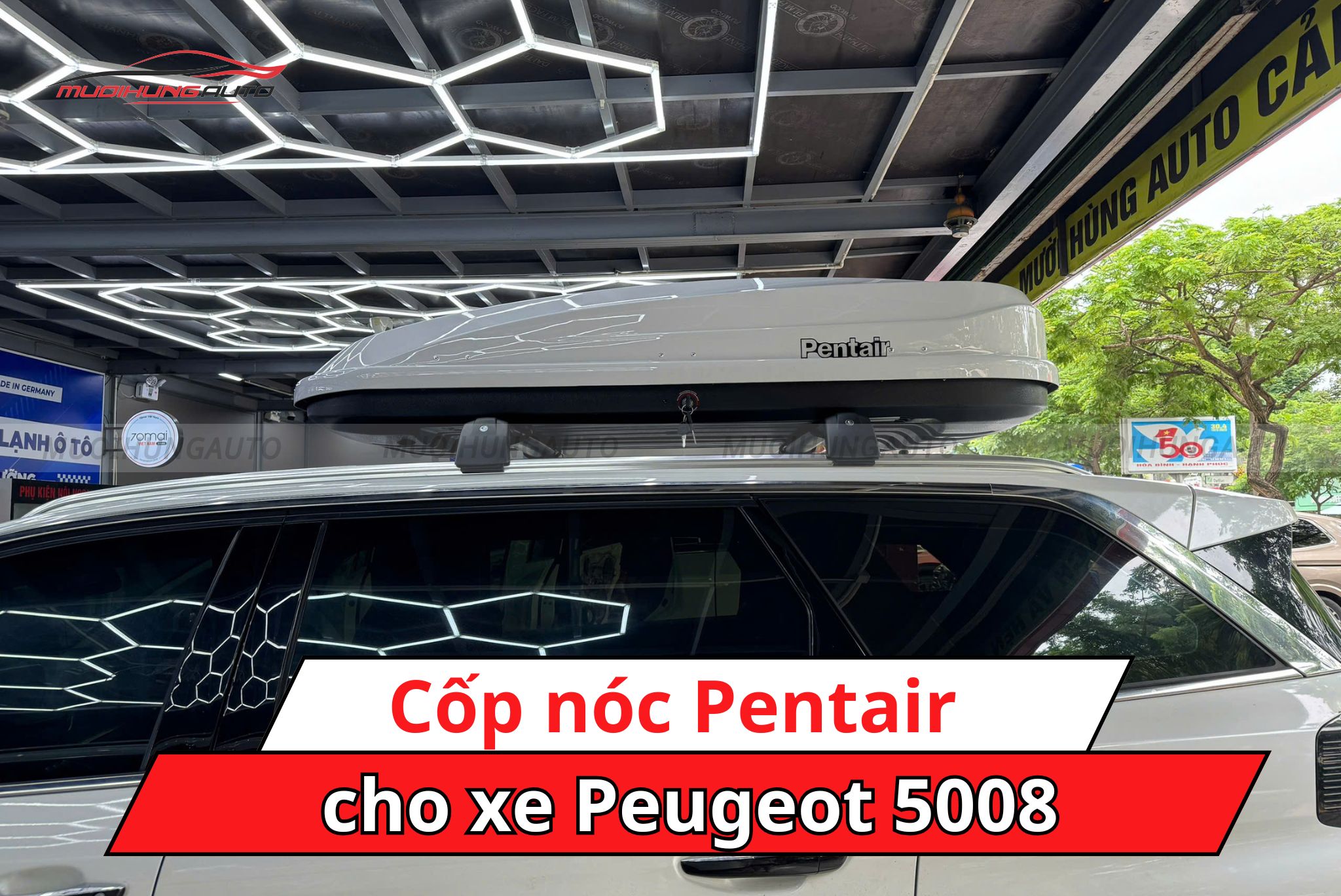 Cốp nóc Pentair Peugeot 5008