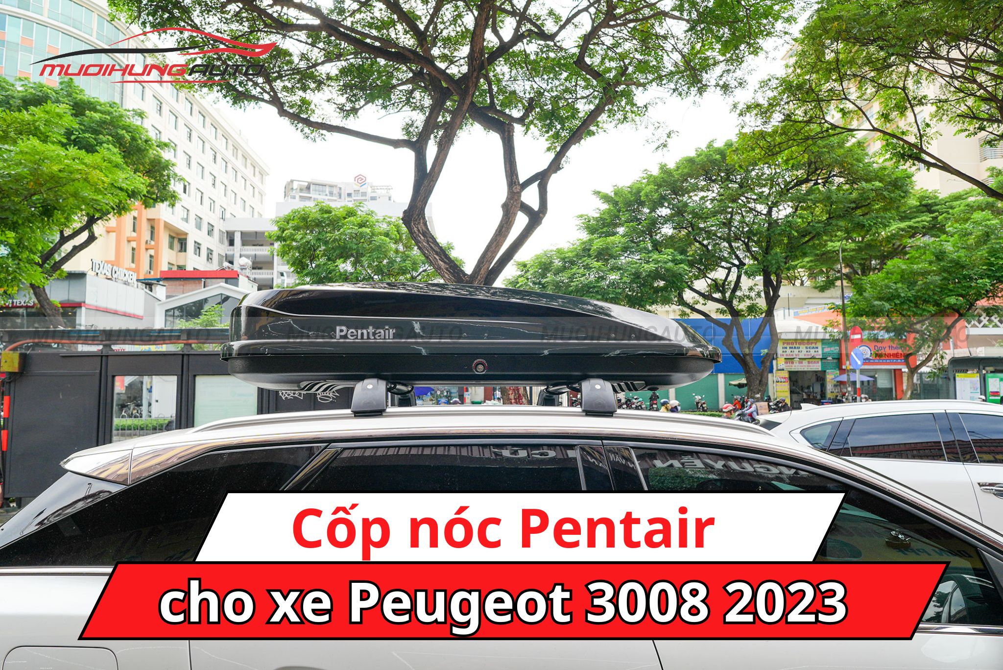 Cốp nóc Pentair xe Peugeot 3008 2023