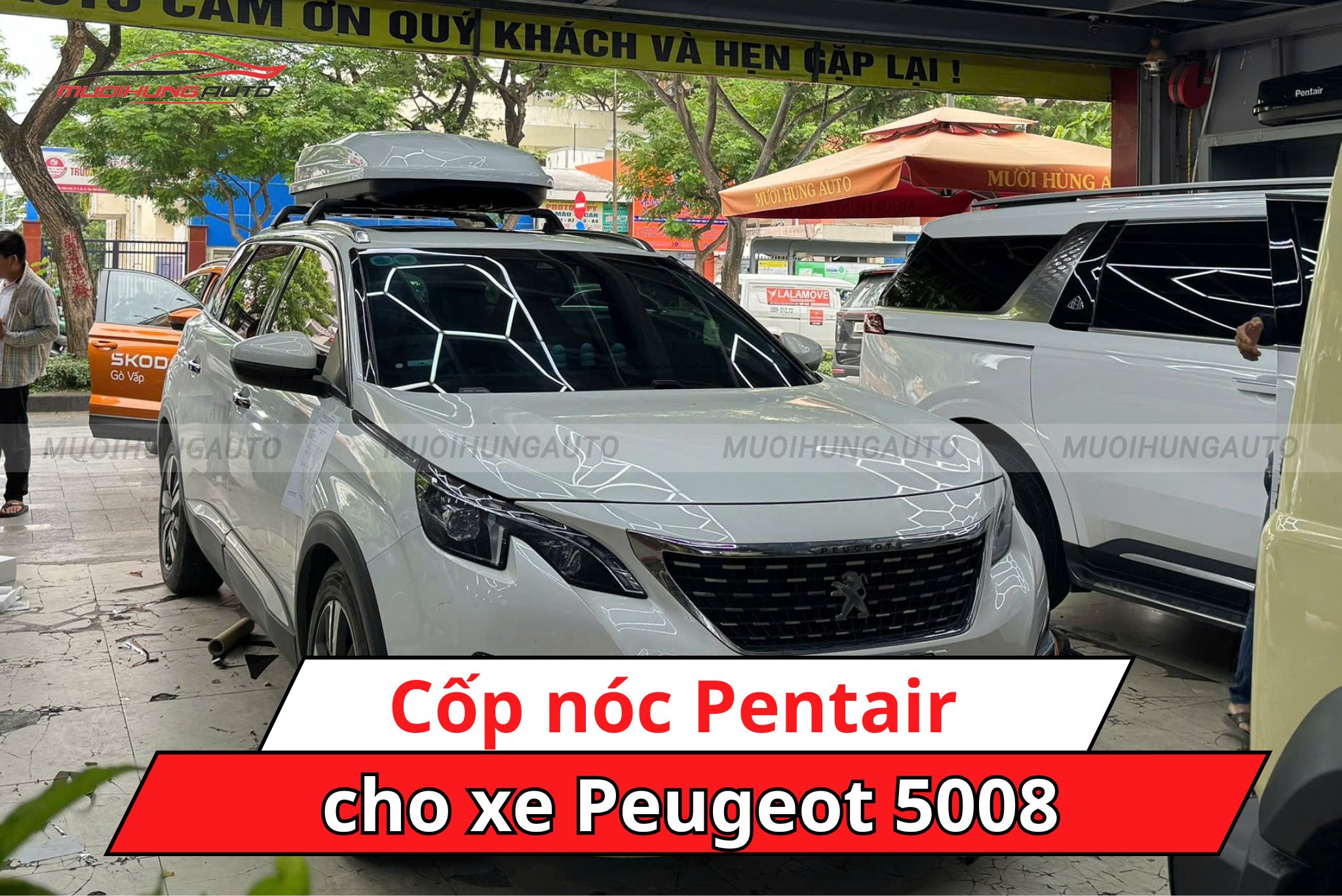 Cốp nóc Pentair xe  Peugeot 5008