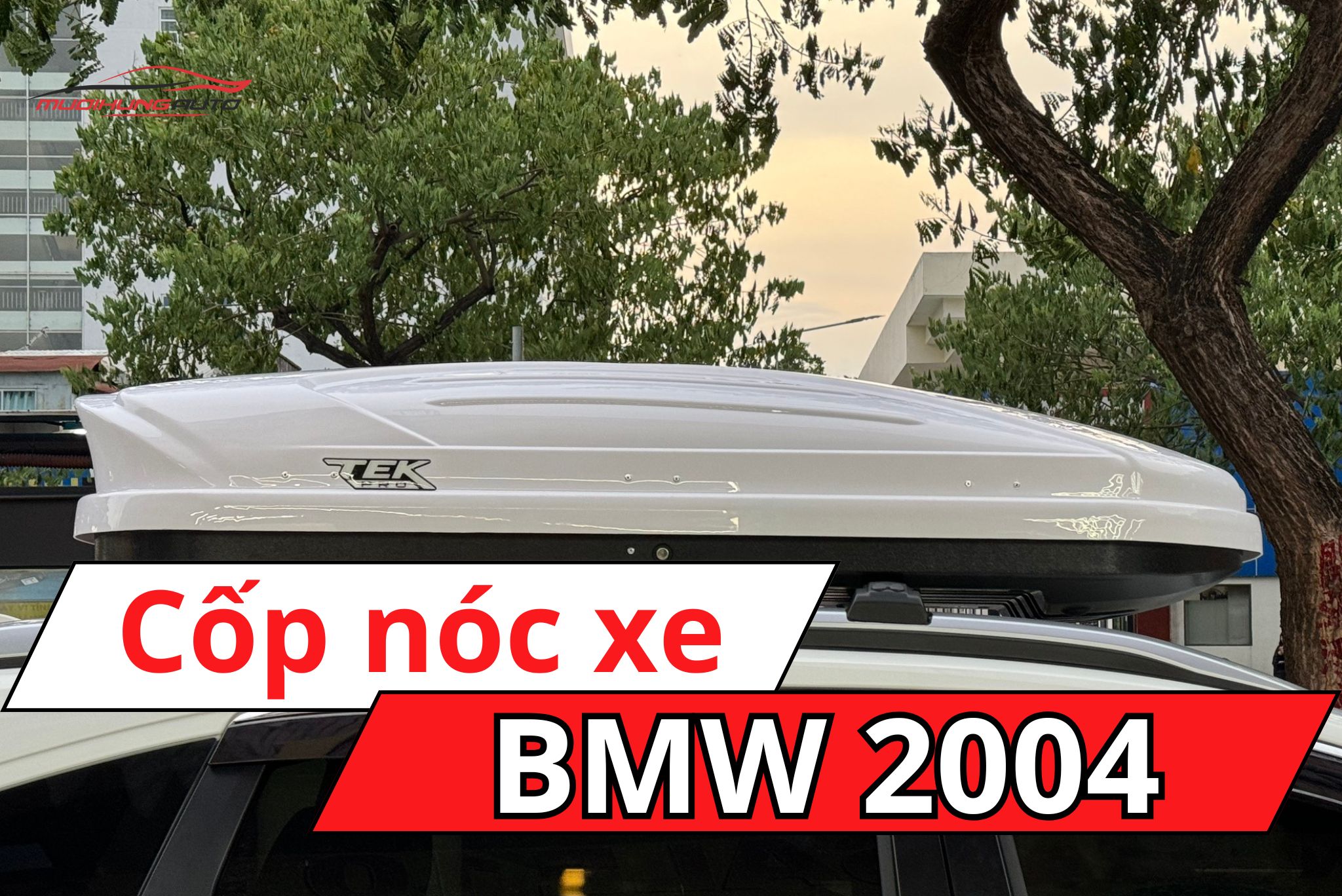 Cốp nóc xe BMW X4