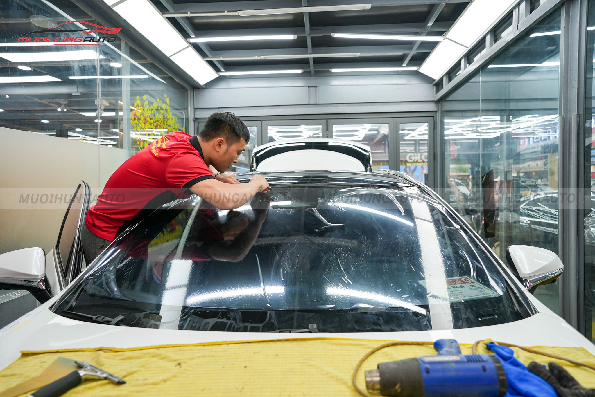 Dán phim cách nhiệt 3M cho xe Lexus RX350 2024