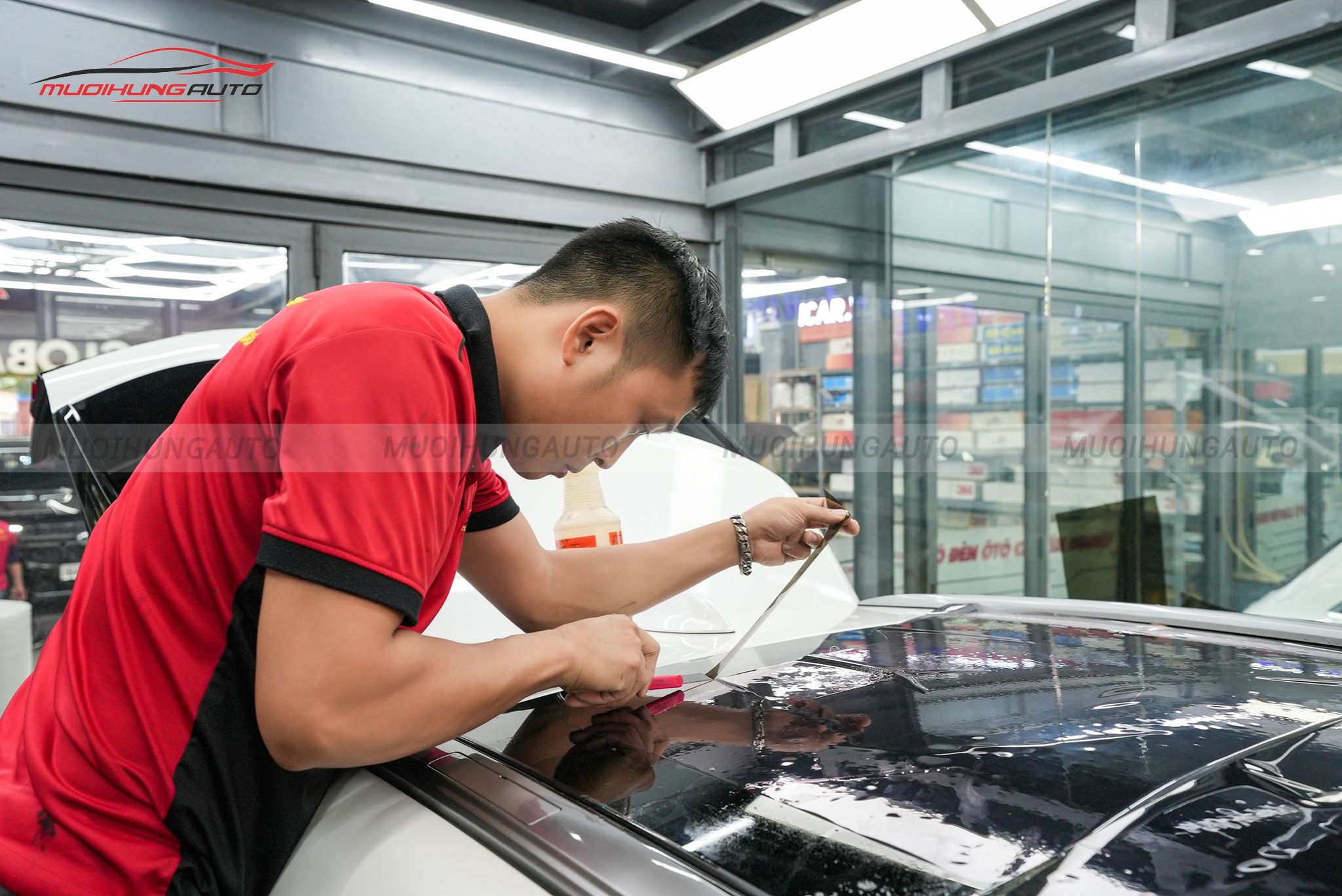 Dán phim cách nhiệt 3M Lexus RX350 2024