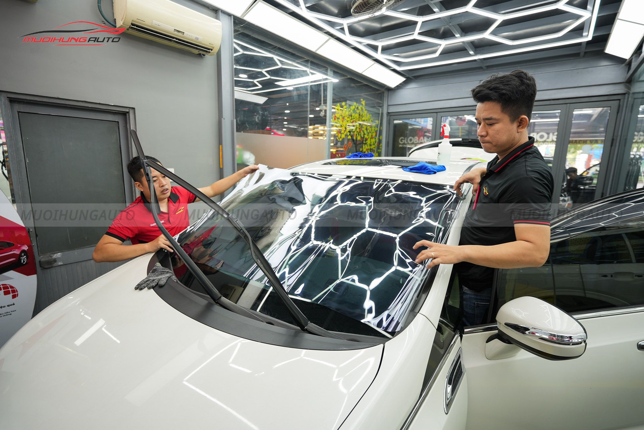 Dán phim cách nhiệt 3M ô tô Honda Odyssey 2016