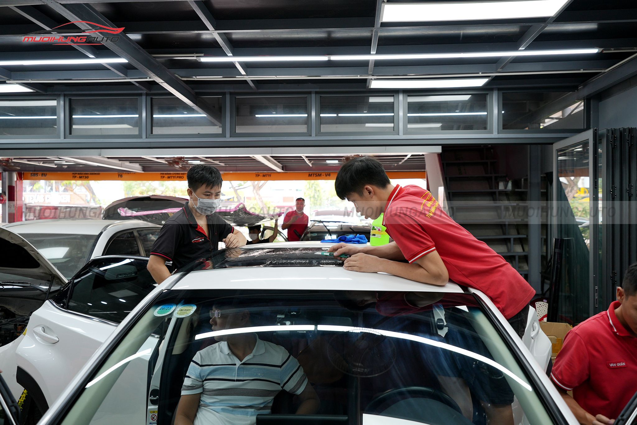 Dán phim cách nhiệt 3M ô tô Lexus NX300