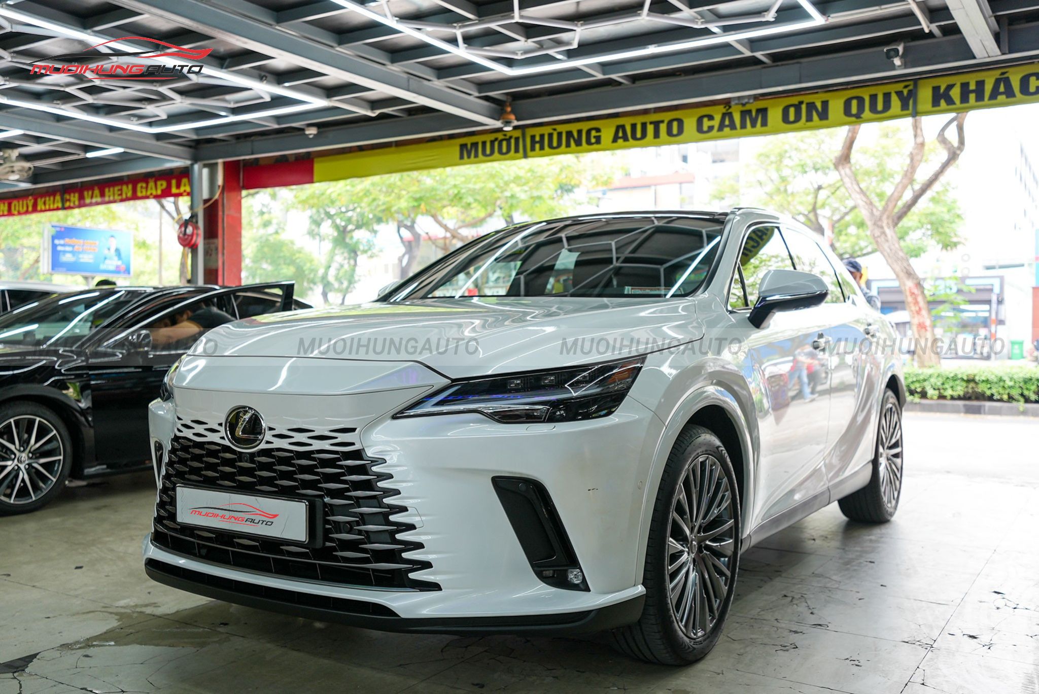 Dán phim cách nhiệt 3M ô tô Lexus RX350 2024