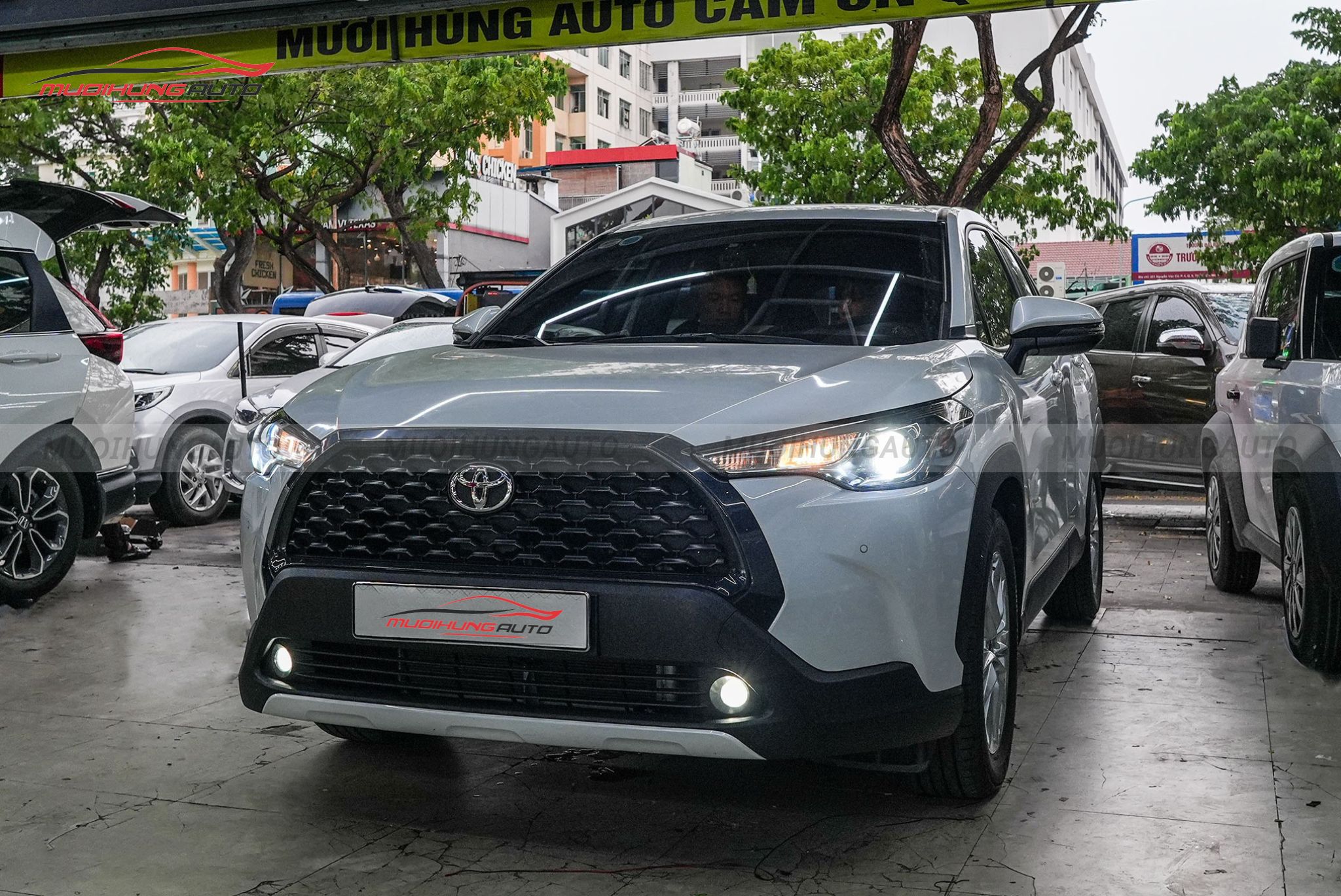 Dán phim cách nhiệt 3M ô tô Toyota Corolla Cross 2024