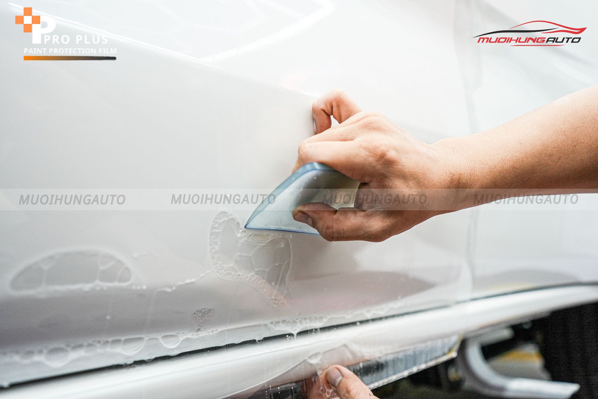 Dán phim PPF Ppro Plus TPU-G8 8.5 PPF LUXURY