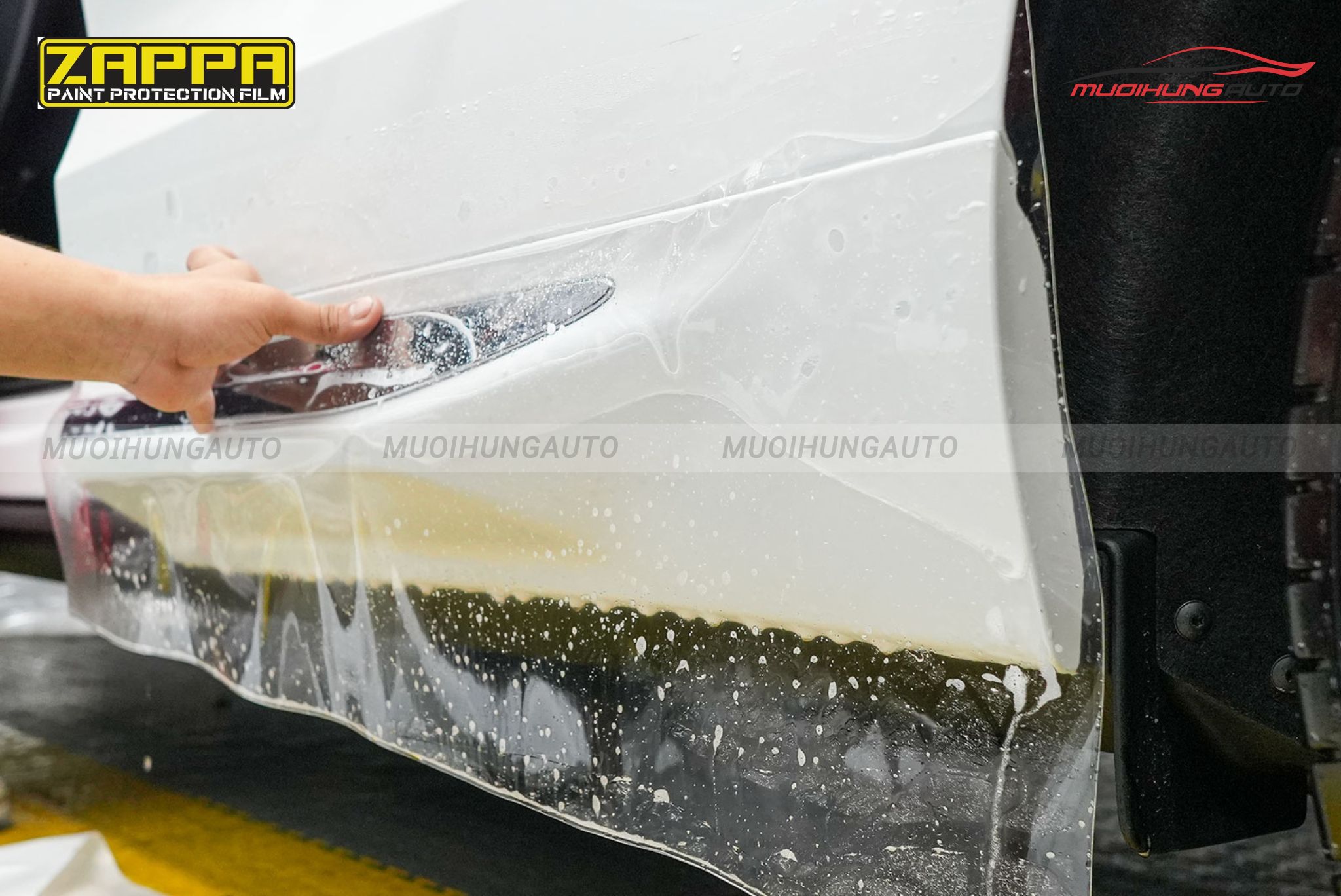 Dán phim PPF Zappa TPU 1398
