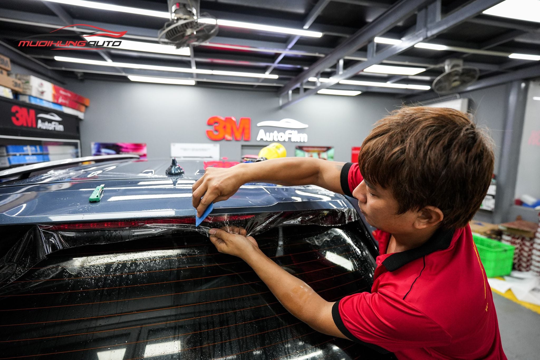 dán ppf cho xe hơi MPV