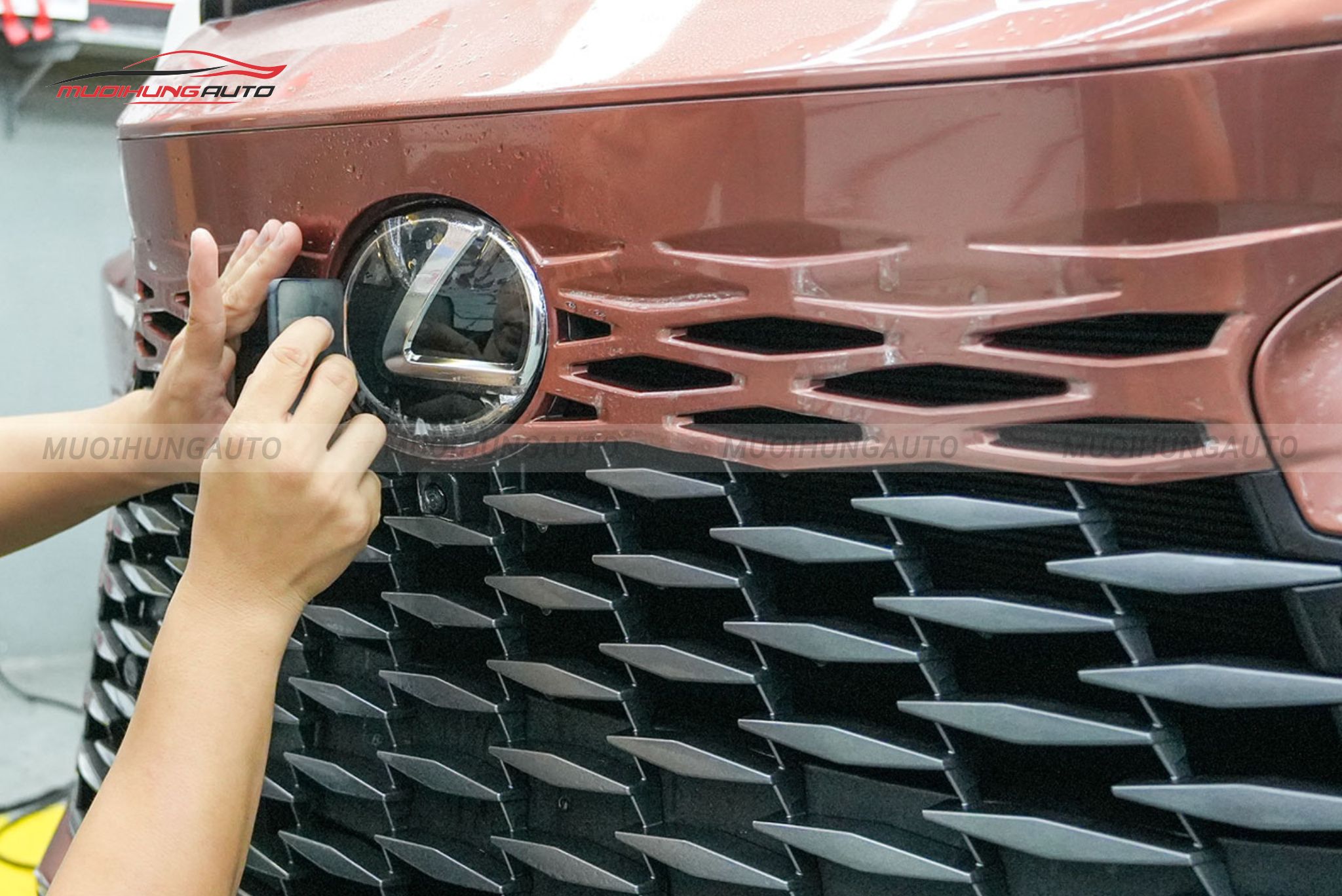 Dán PPF Ppro Plus cho Lexus RX350