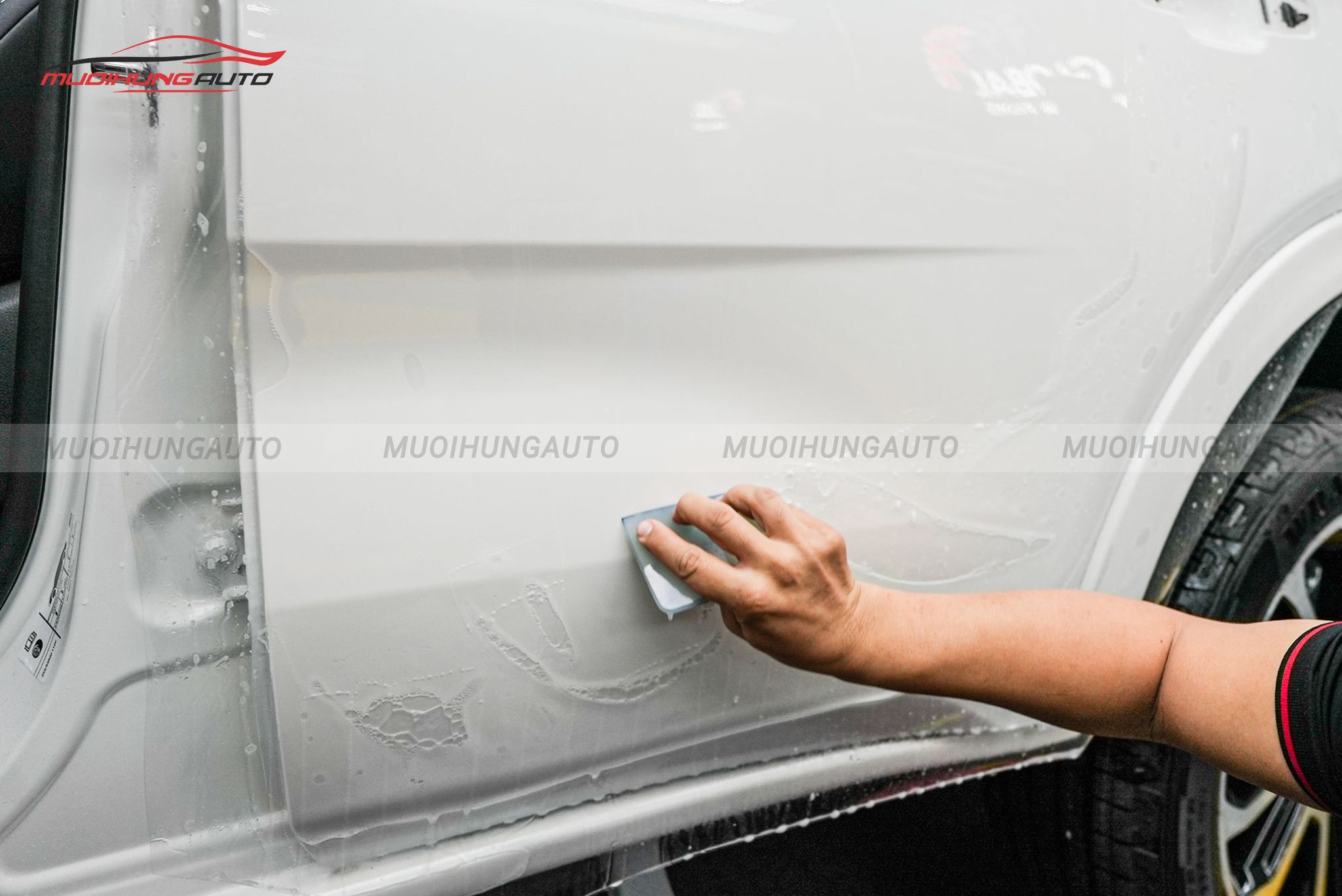 Dán PPF Ppro Plus cho ô tô Ford Everest 2024