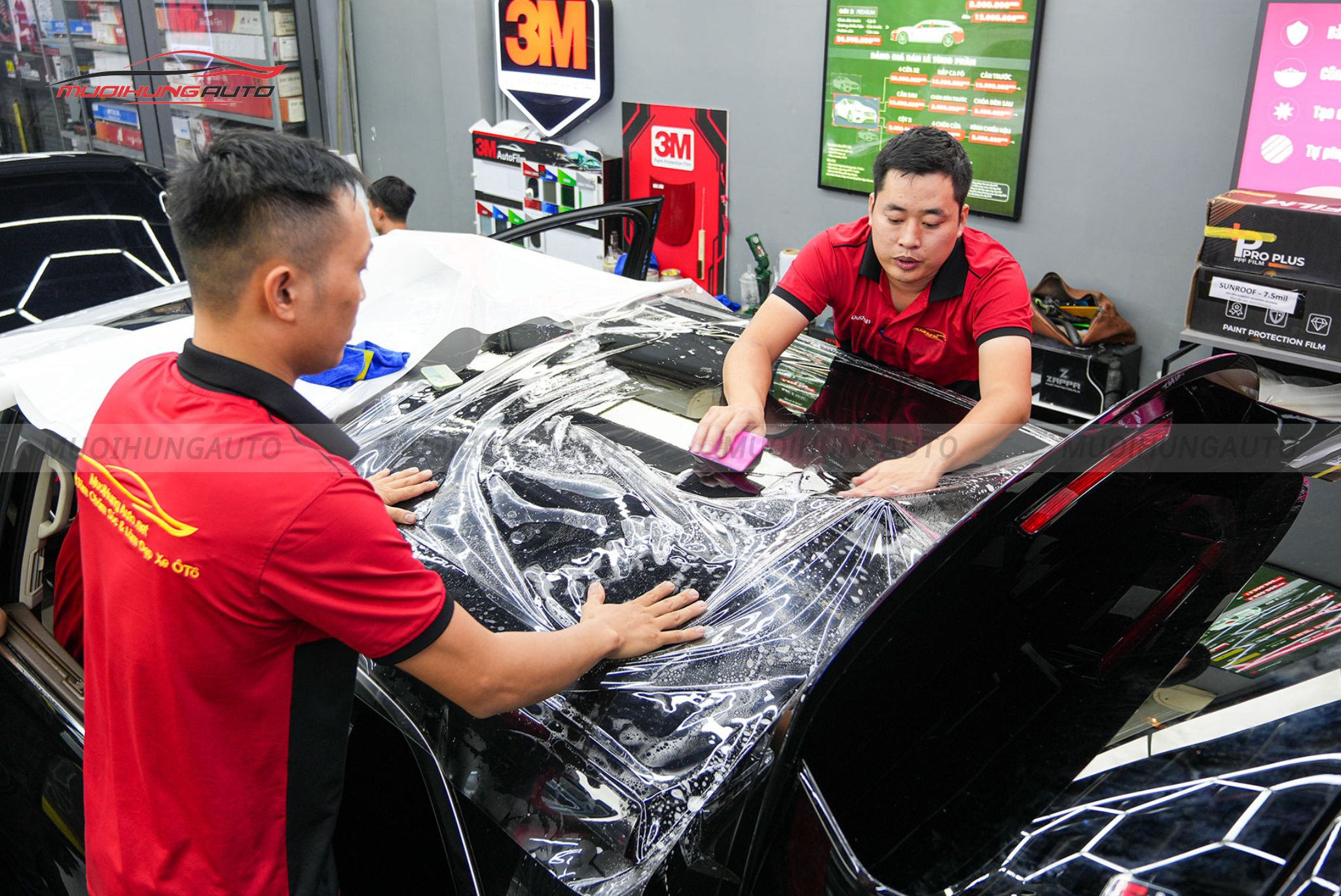 Dán PPF Ppro Plus cho ô tô Volkswagen Viloran 2024