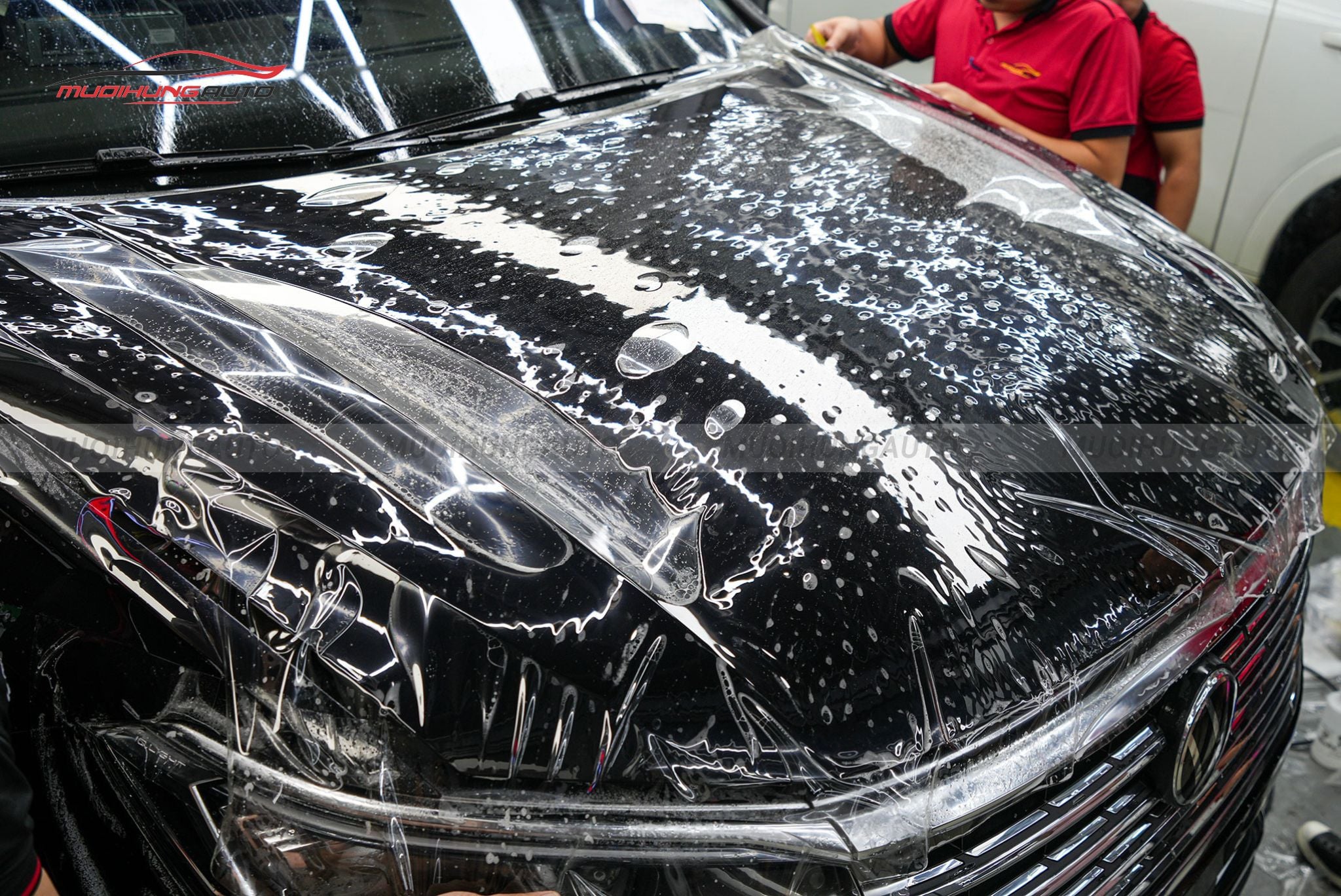 Dán PPF Ppro Plus xe Volkswagen Viloran 2024