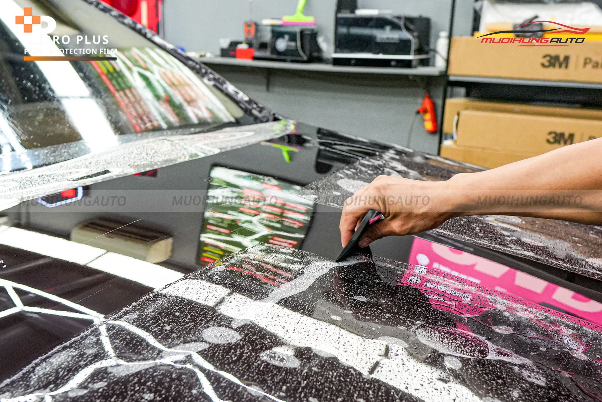 Dán PPF Ppro Plus