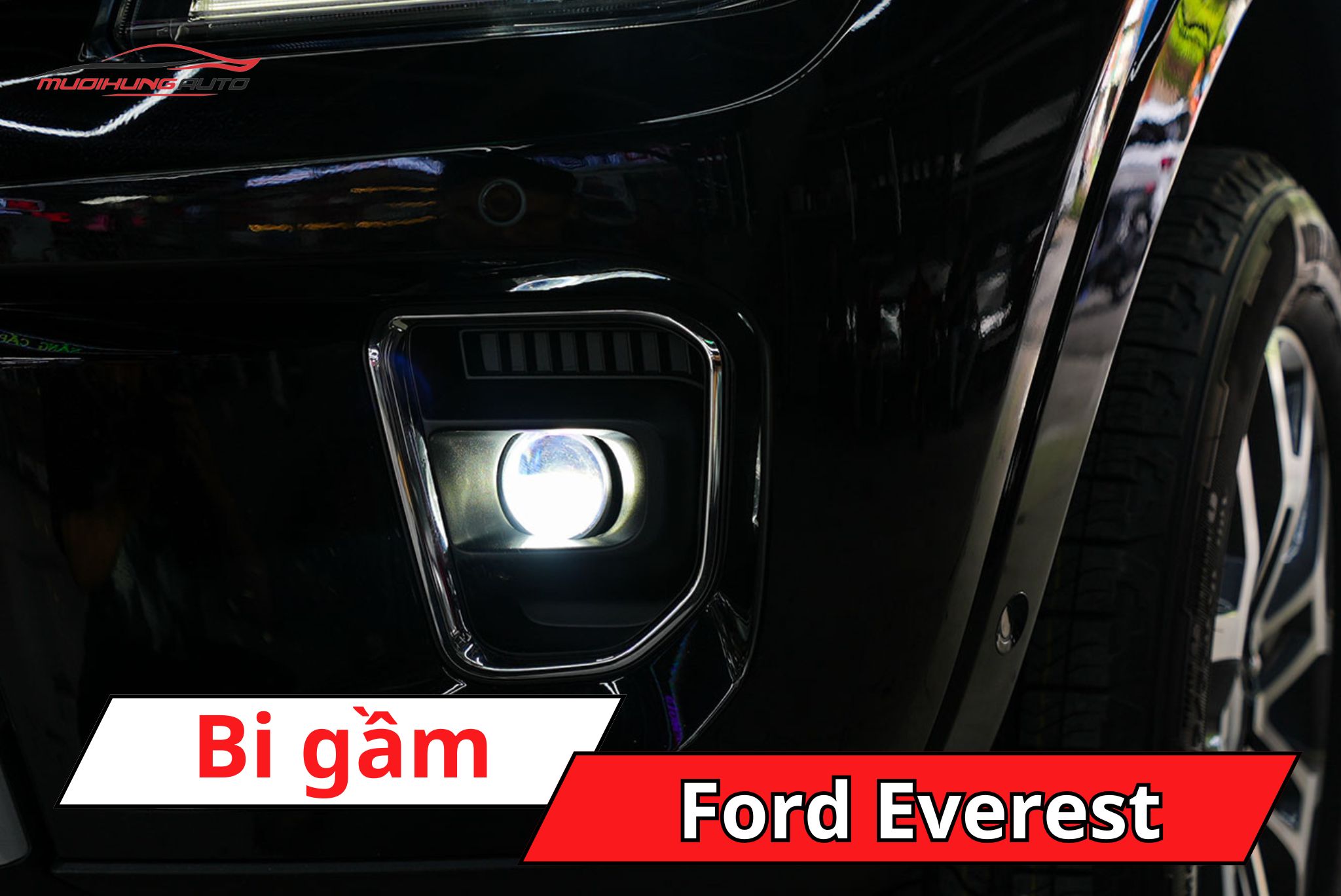 Đèn bi gầm Ford Everest