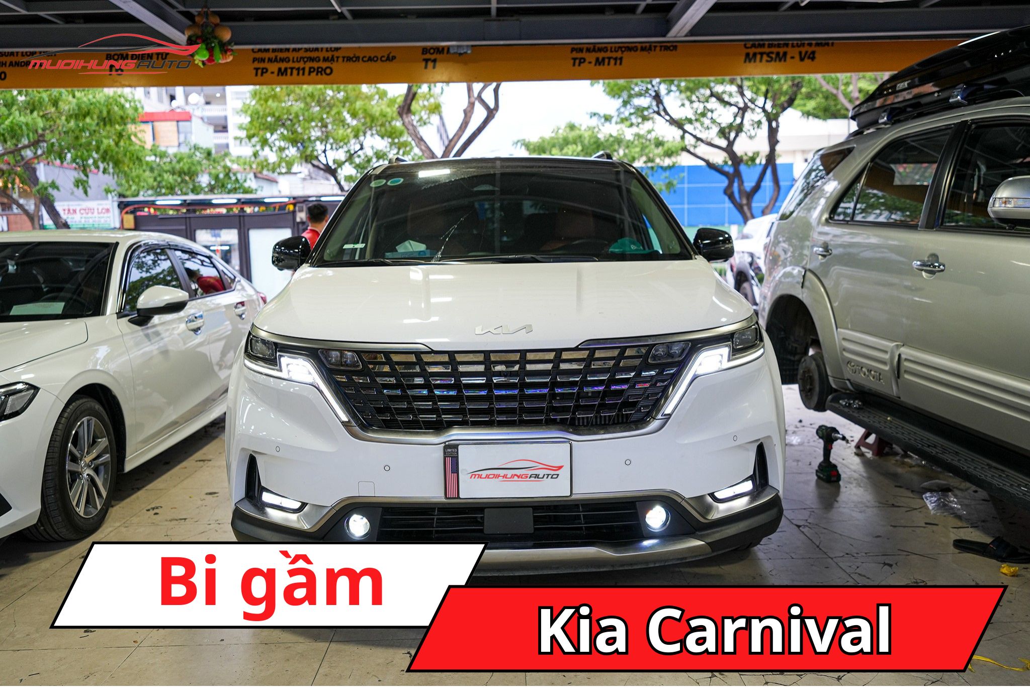 Đèn bi gầm Kia Carnival