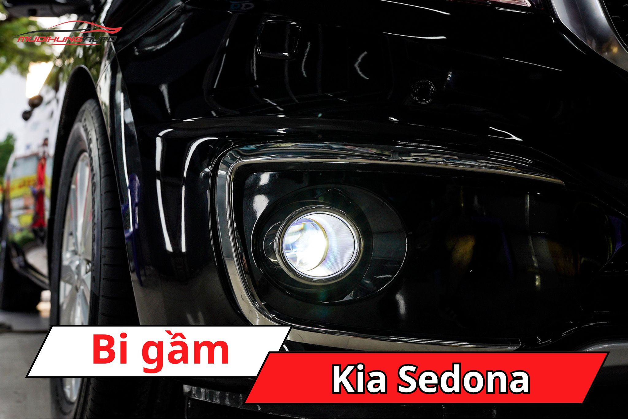 Đèn bi gầm Kia Sedona