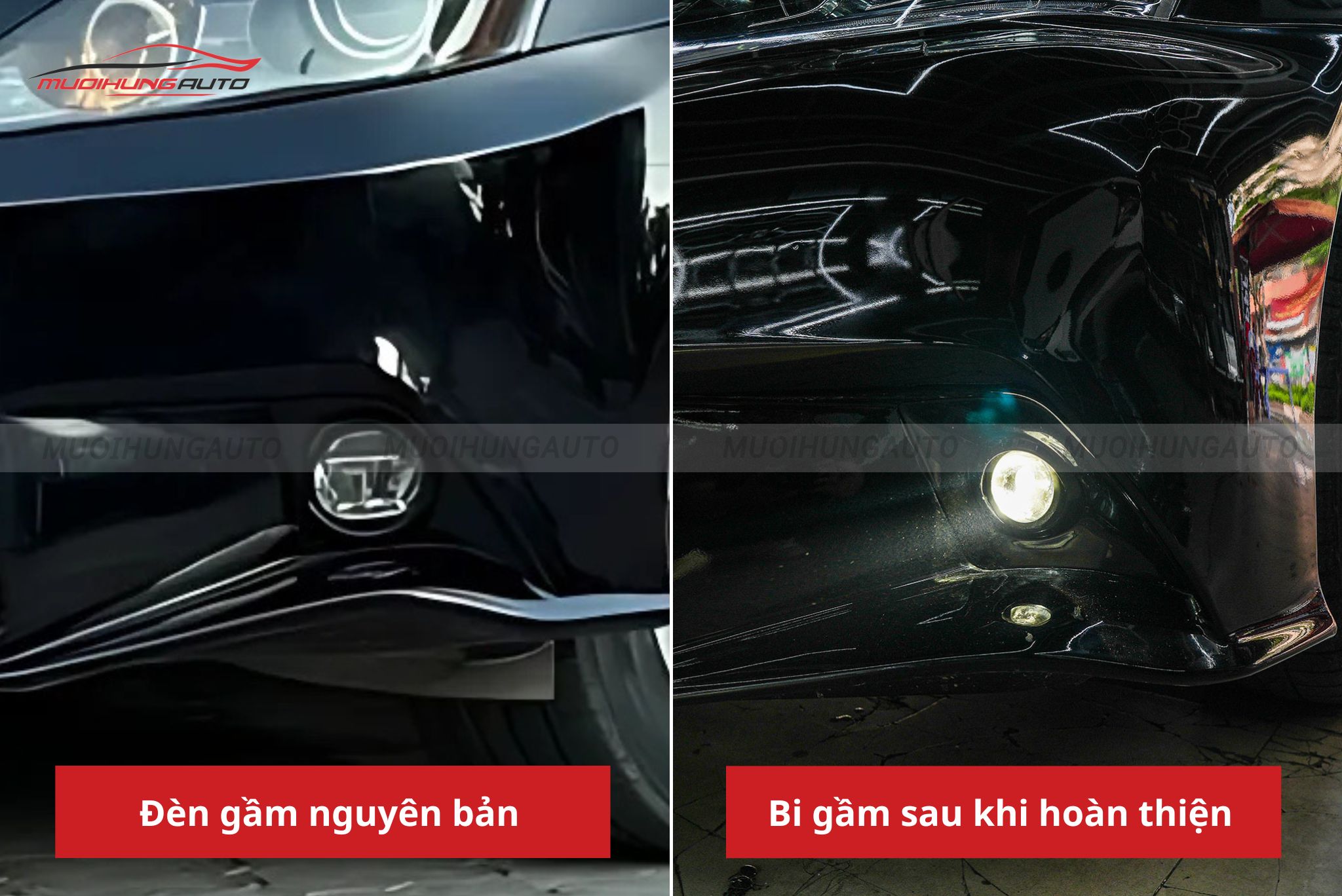 Đèn bi gầm Lexus IS350 2009