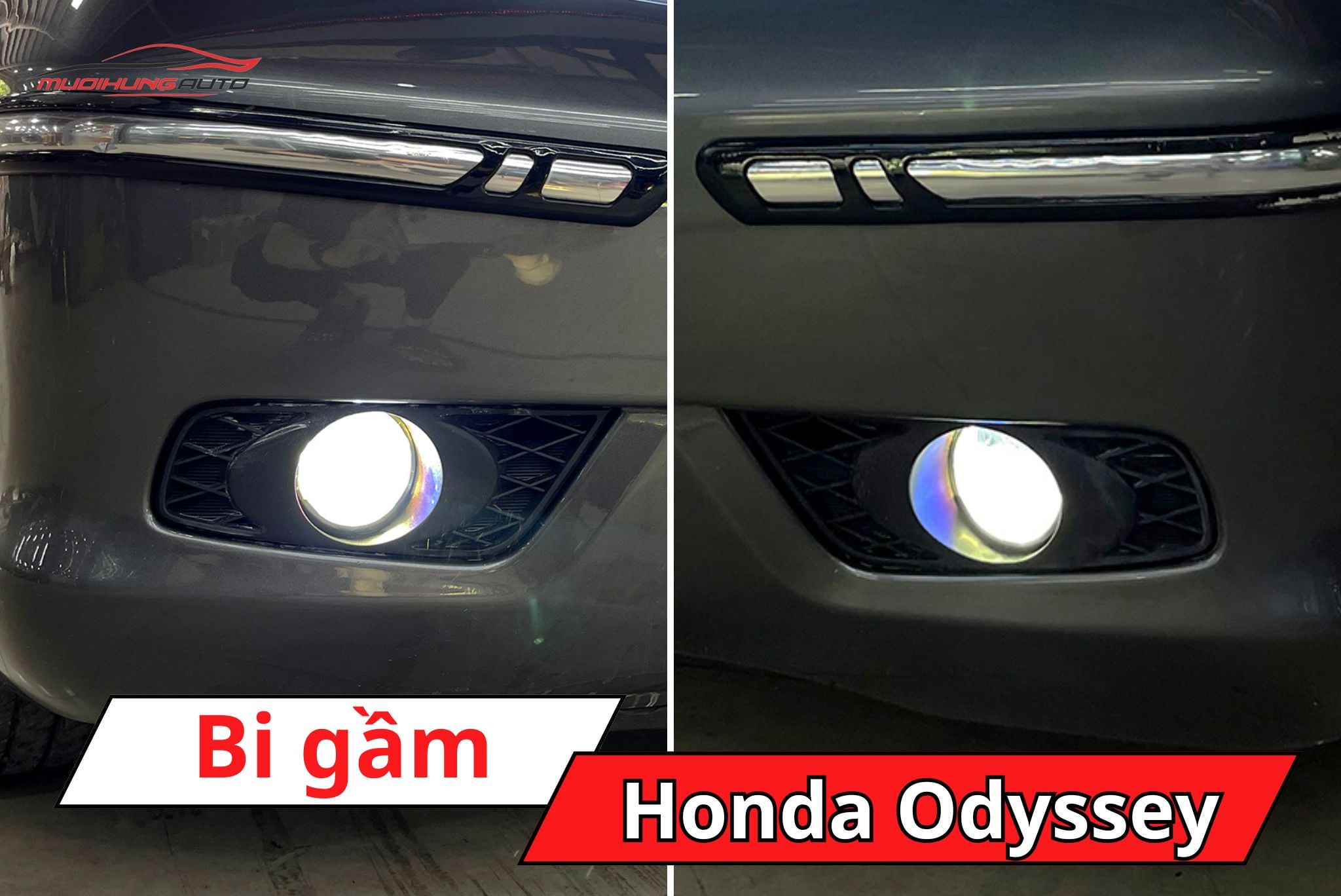 Đèn bi gầm ô tô Honda Odyssey