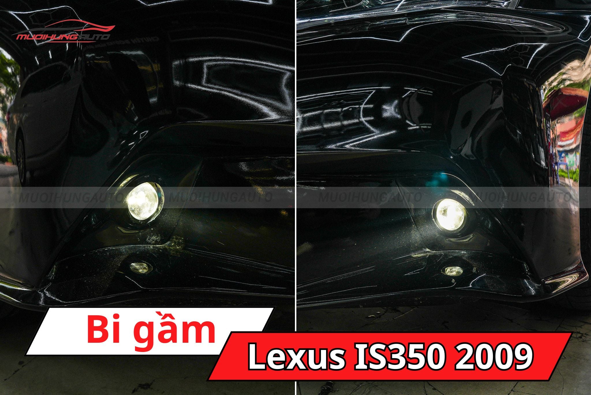 Đèn bi gầm ô tô Lexus IS350 2009