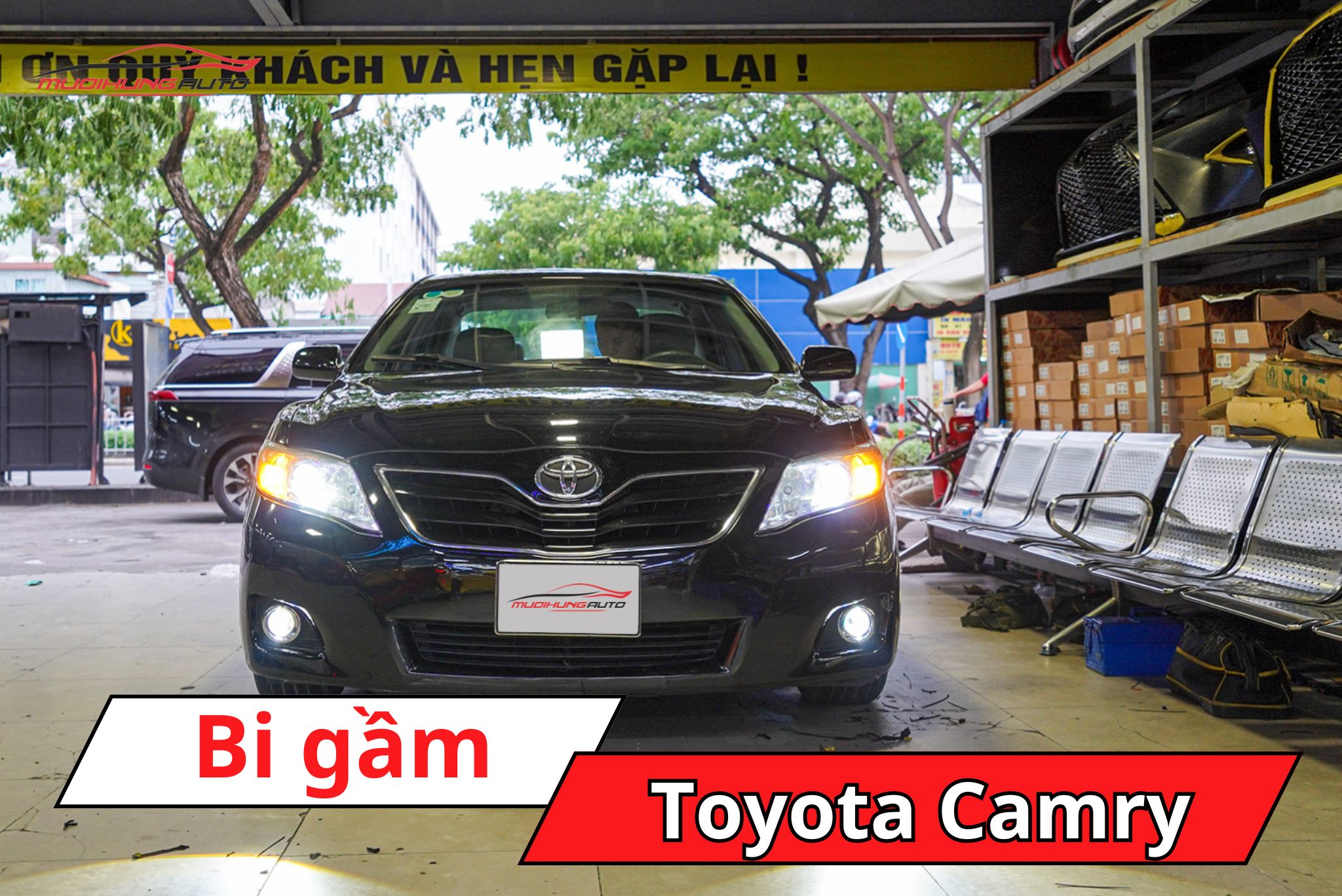 Đèn bi gầm Toyota Camry
