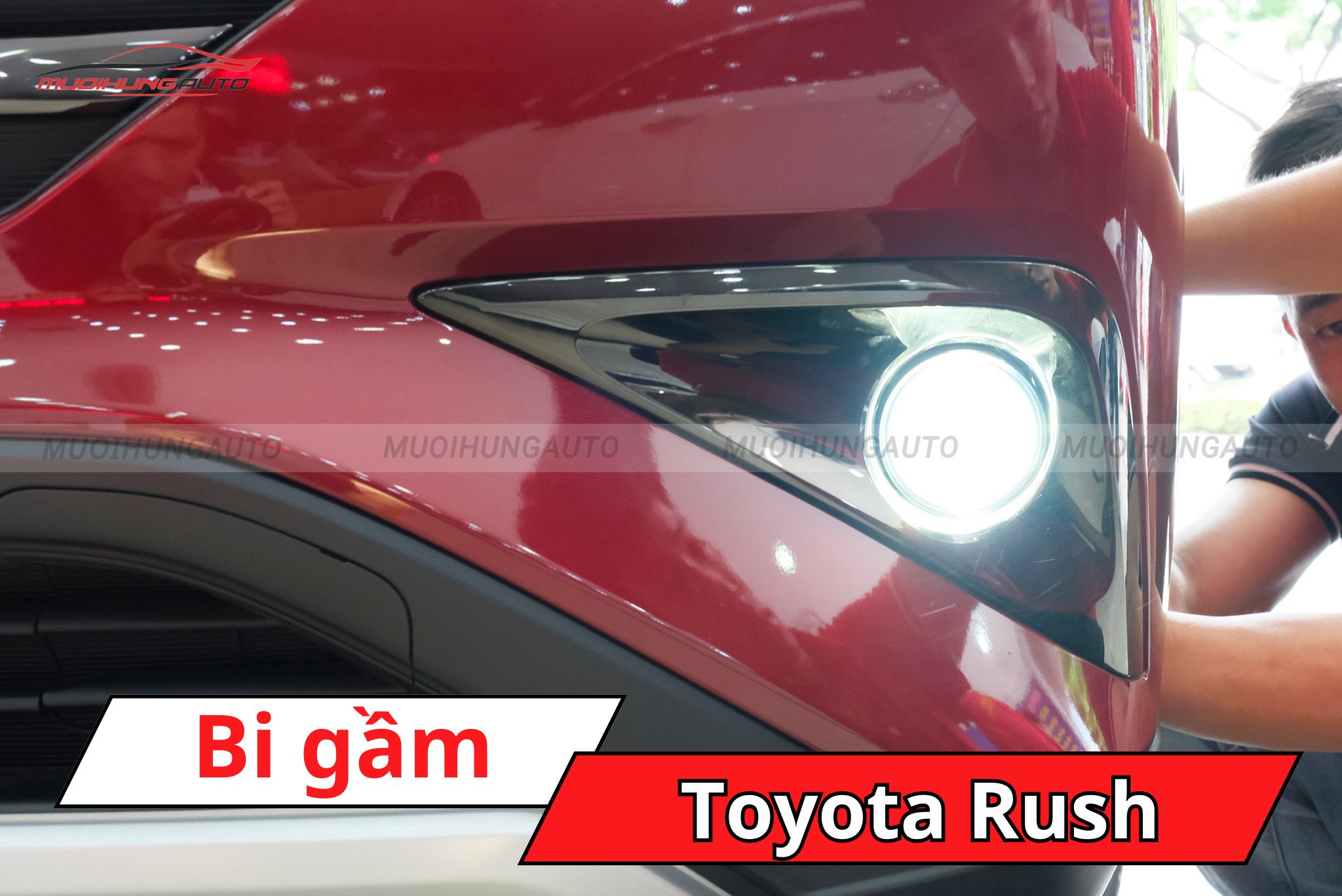 Đèn bi gầm Toyota Rush
