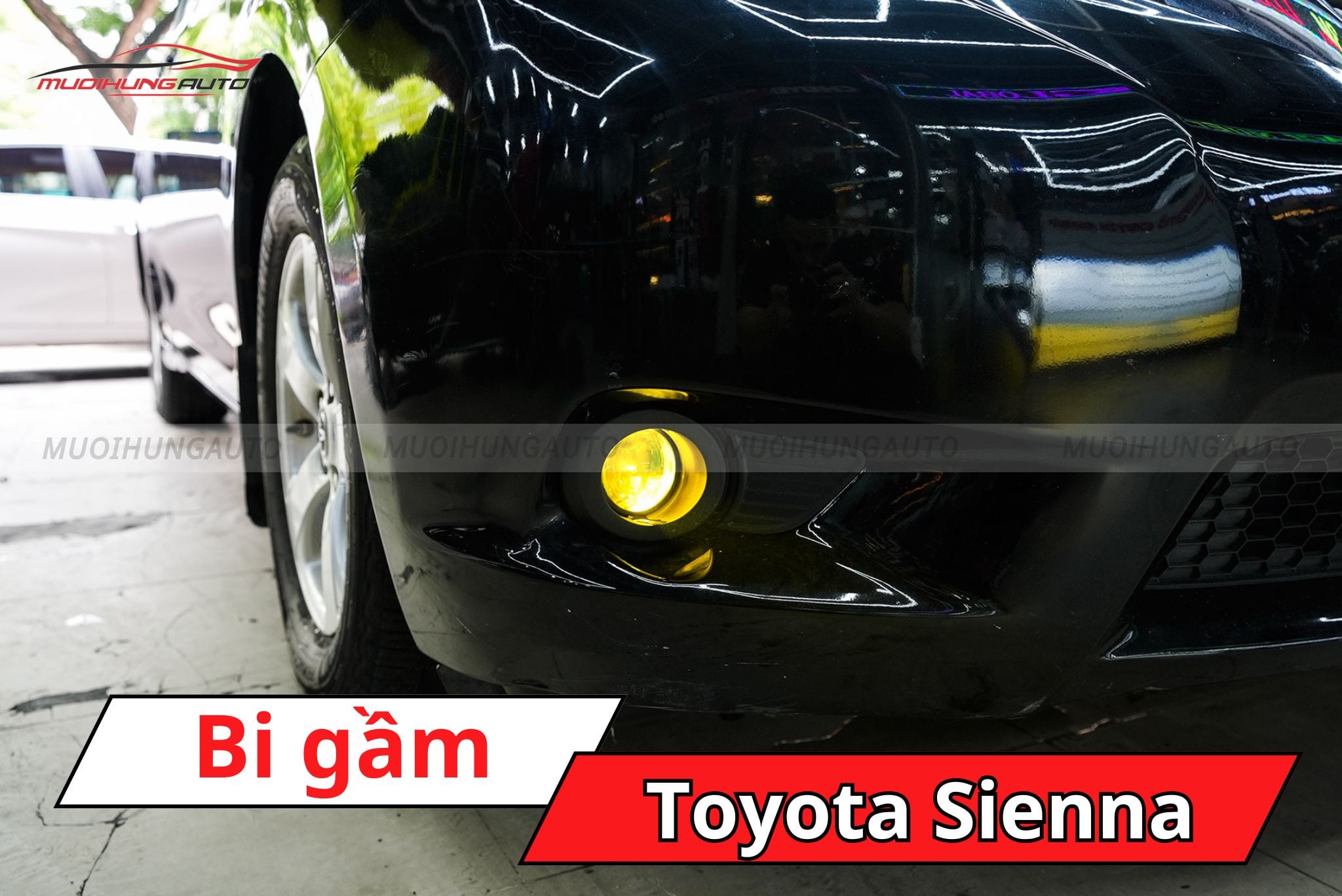 Đèn bi gầm Toyota Sienna