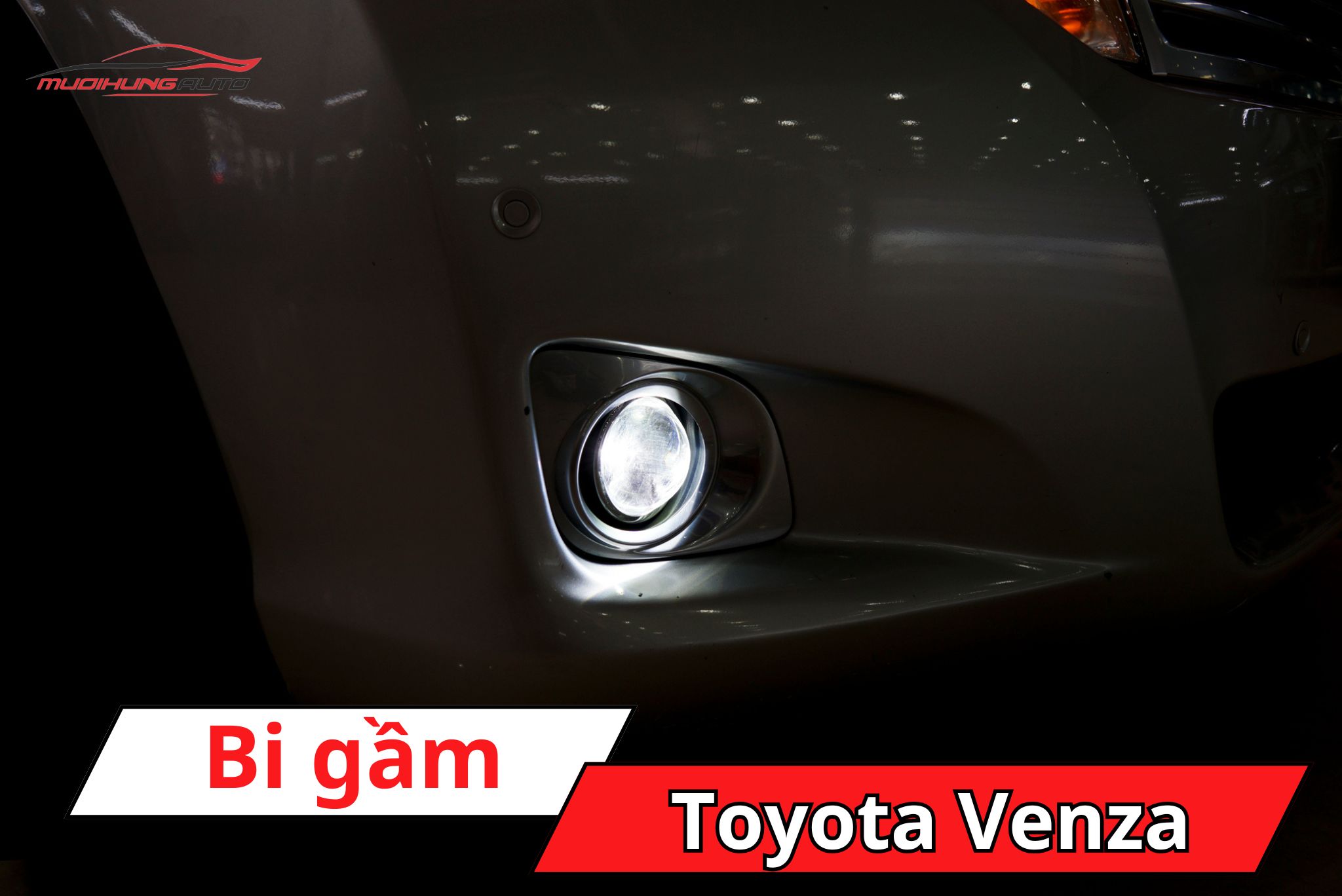 Đèn bi gầm Toyota Venza