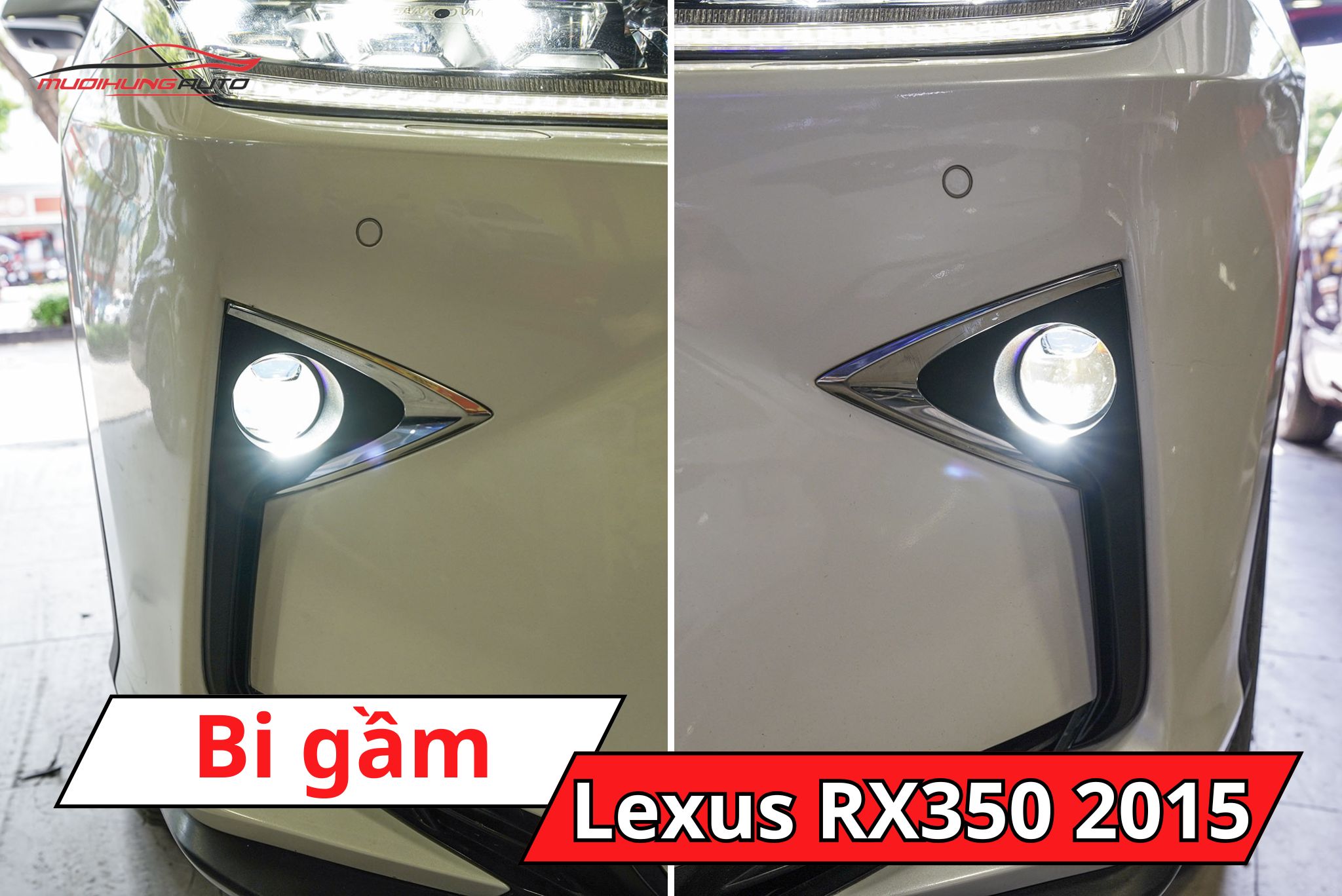 Độ bi gầm Lexus RX350 2015