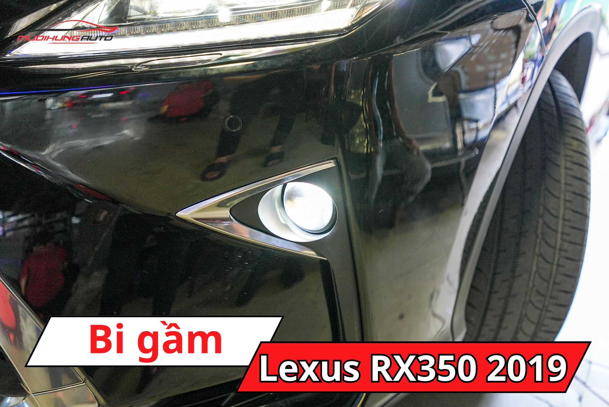 Độ bi gầm Lexus RX350 2019