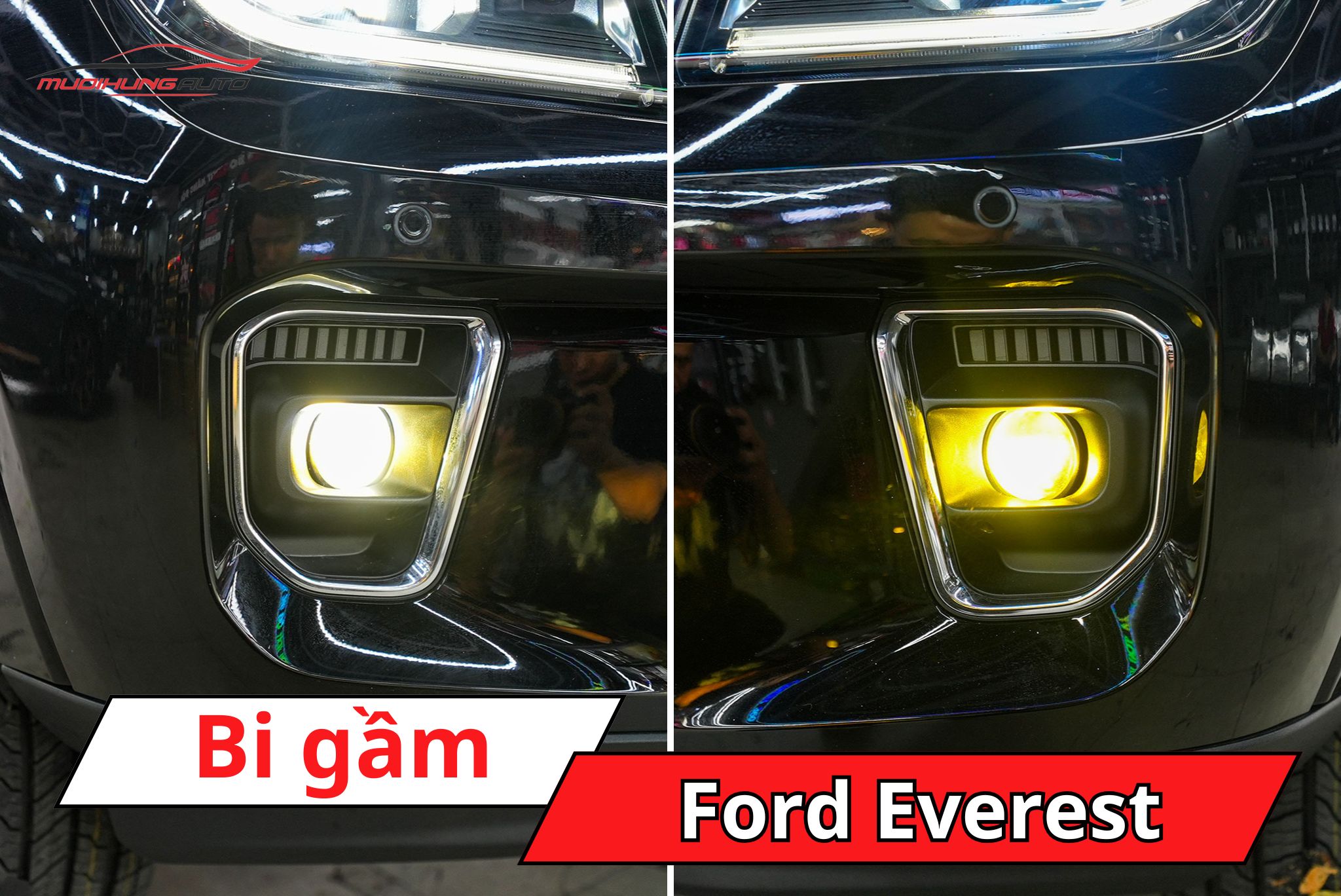 Độ bi gầm ô tô Ford Everest