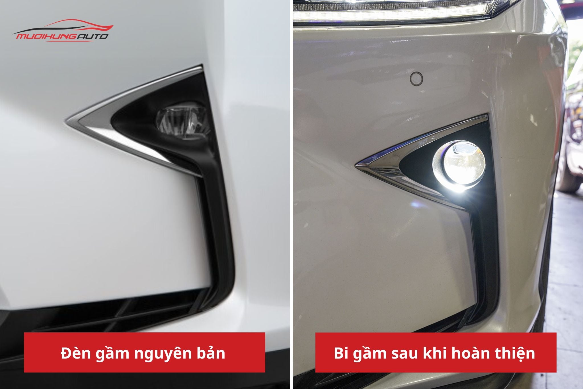 Độ bi gầm ô tô Lexus RX350 2015