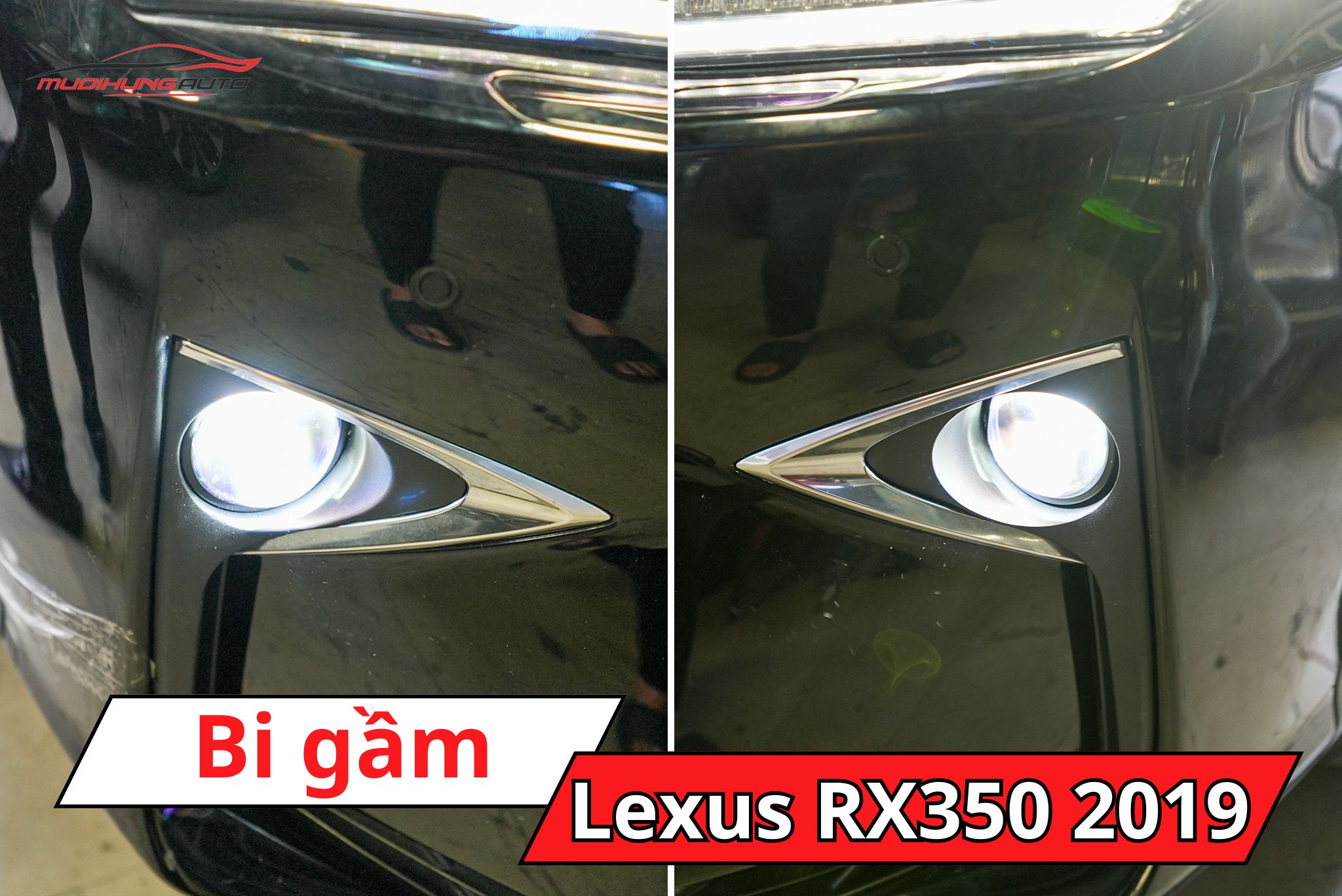 Độ bi gầm ô tô Lexus RX350 2019