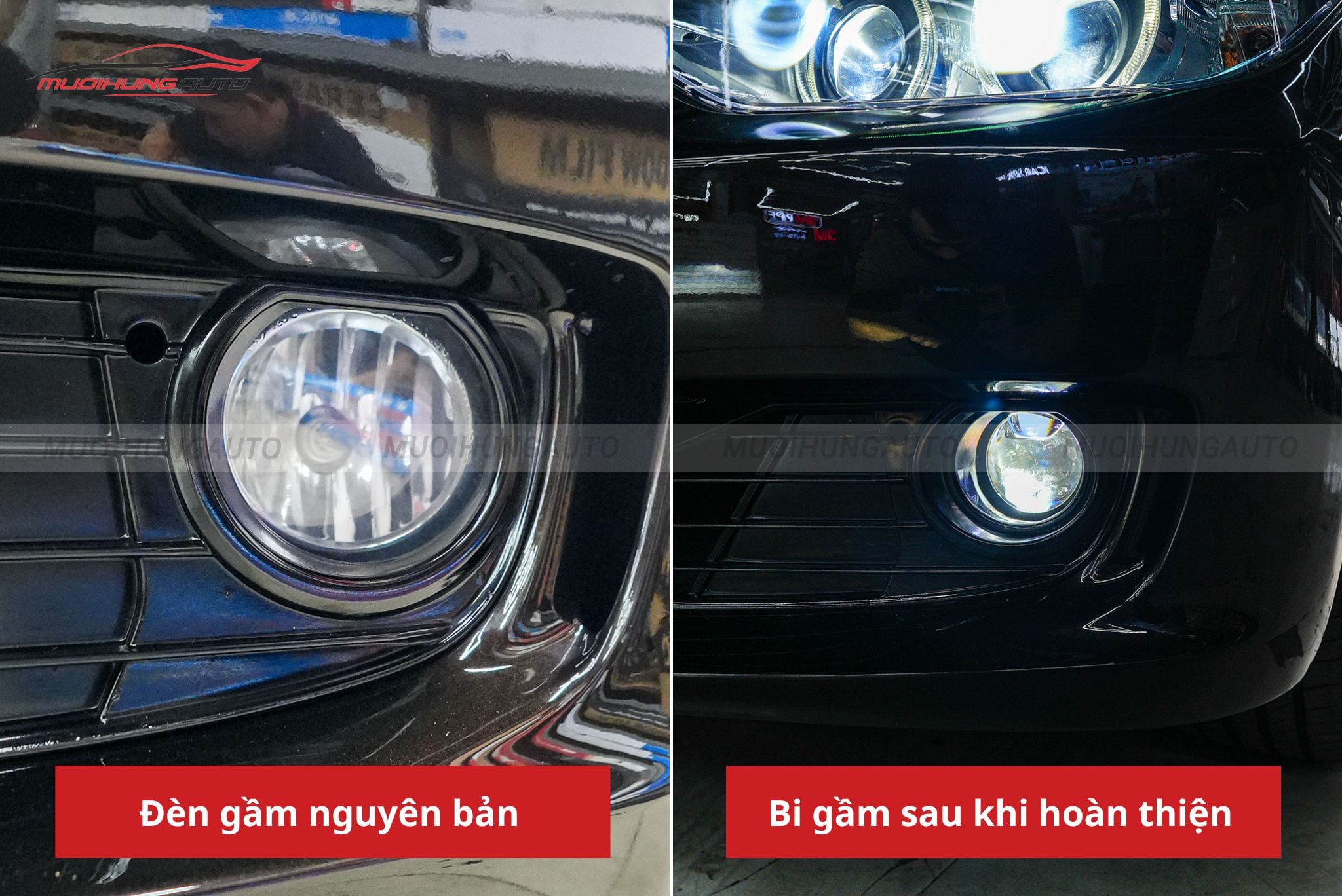 Độ đèn bi gầm BMW 320i 2012