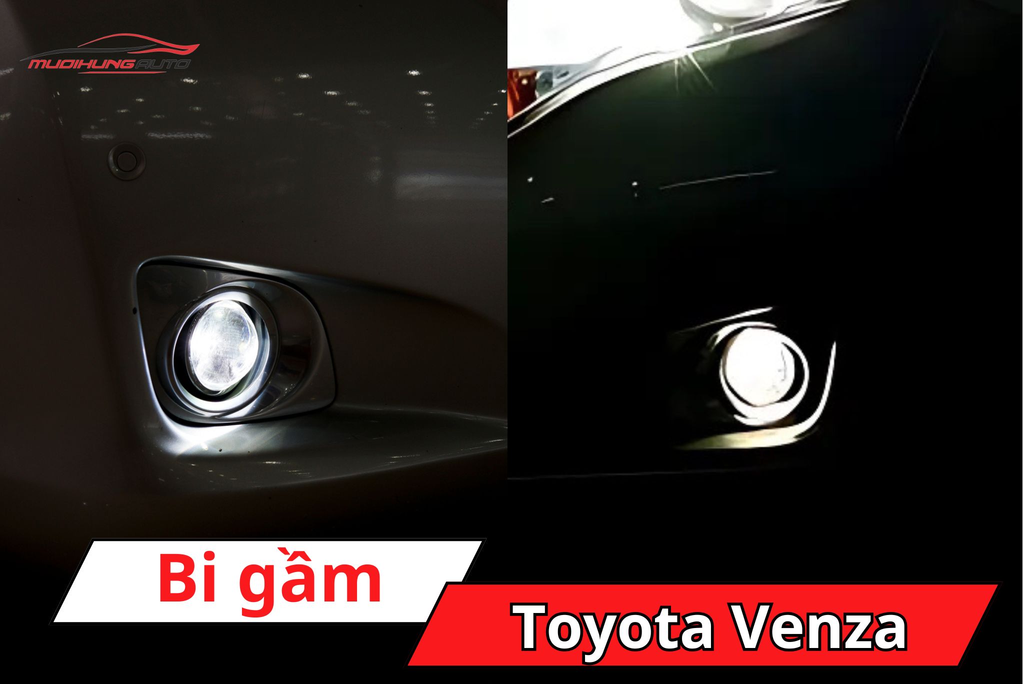 Độ đèn bi gầm ô tô Toyota Venza