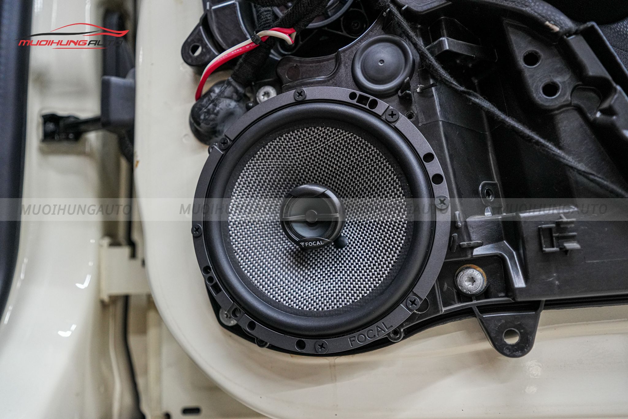 Độ loa cánh cửa cho xe ô tô Mini Cooper