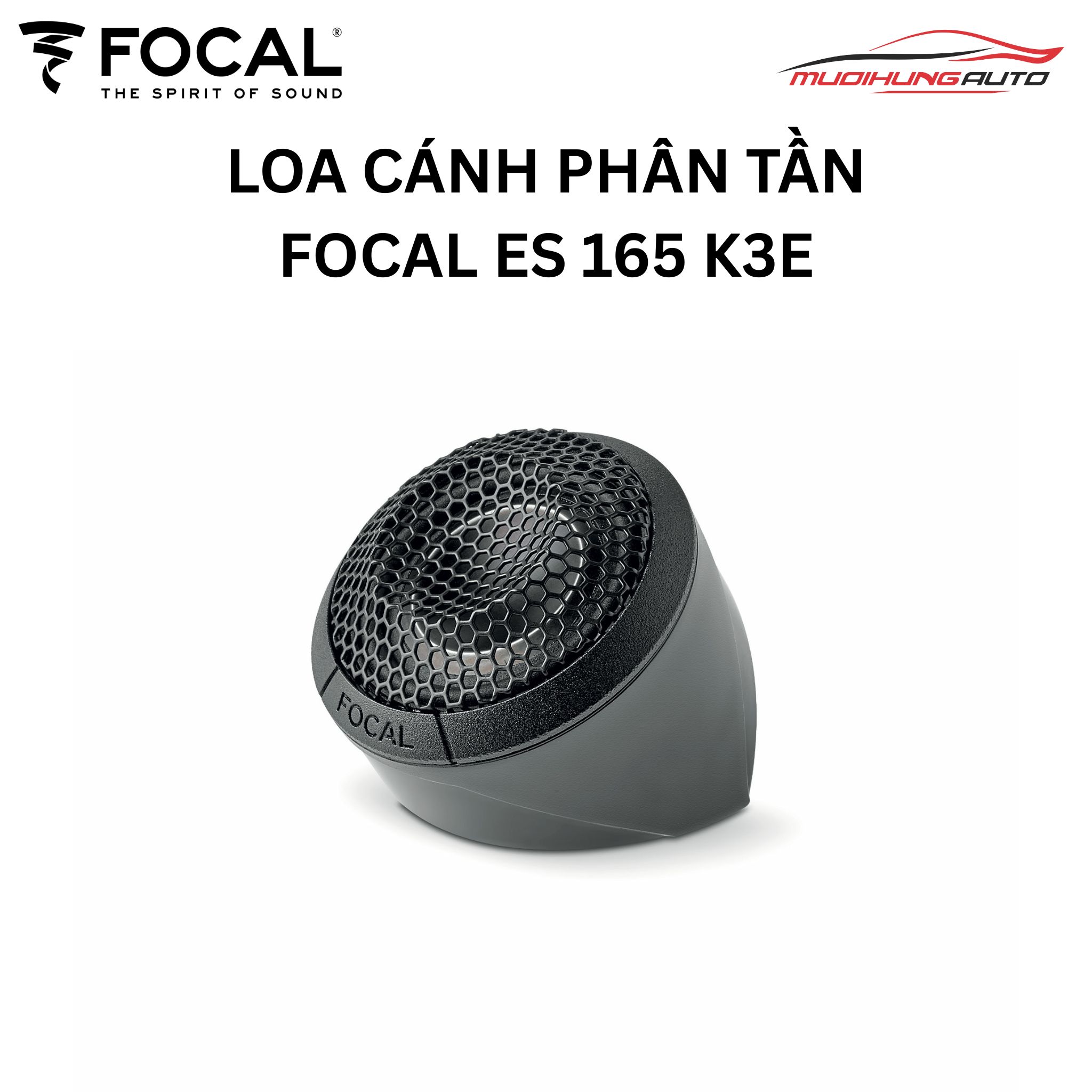Loa cánh cửa Focal ES 165 KX3E