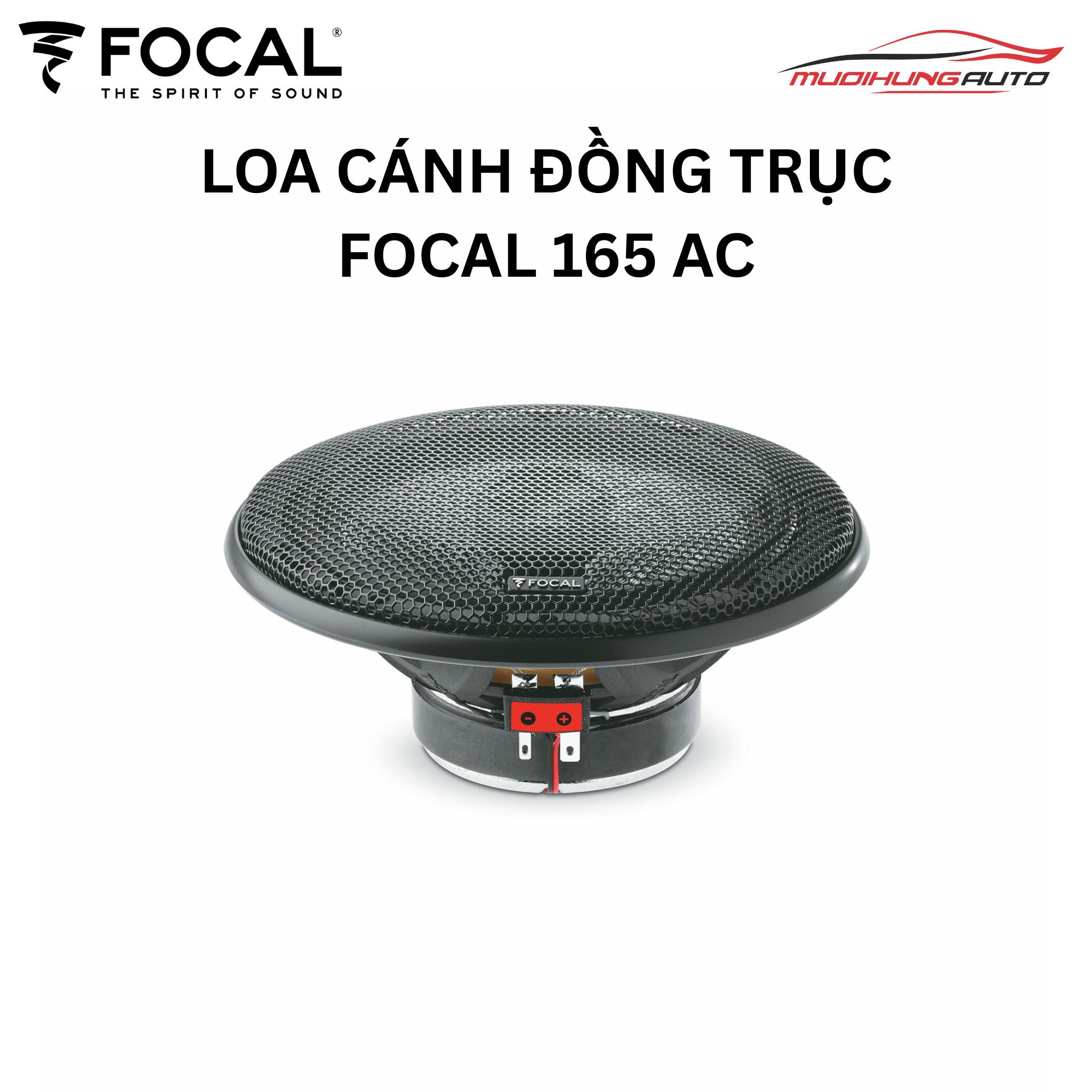 Loa cánh Focal 165 AC