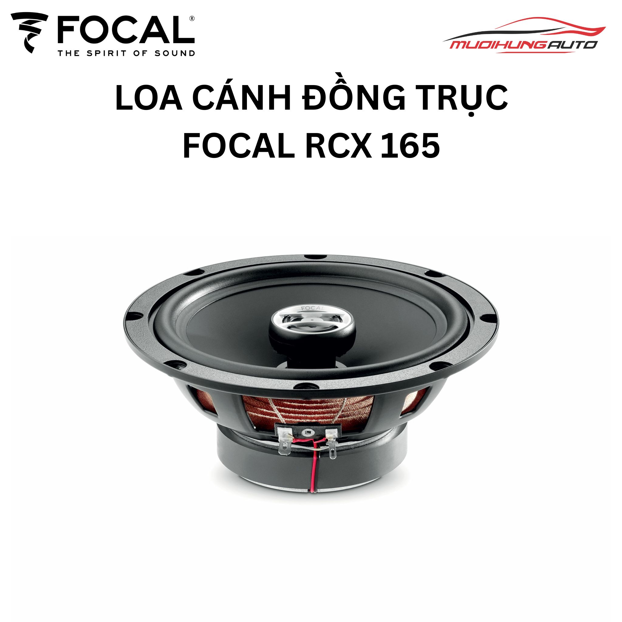 Loa cánh ô tô Focal RCX 165